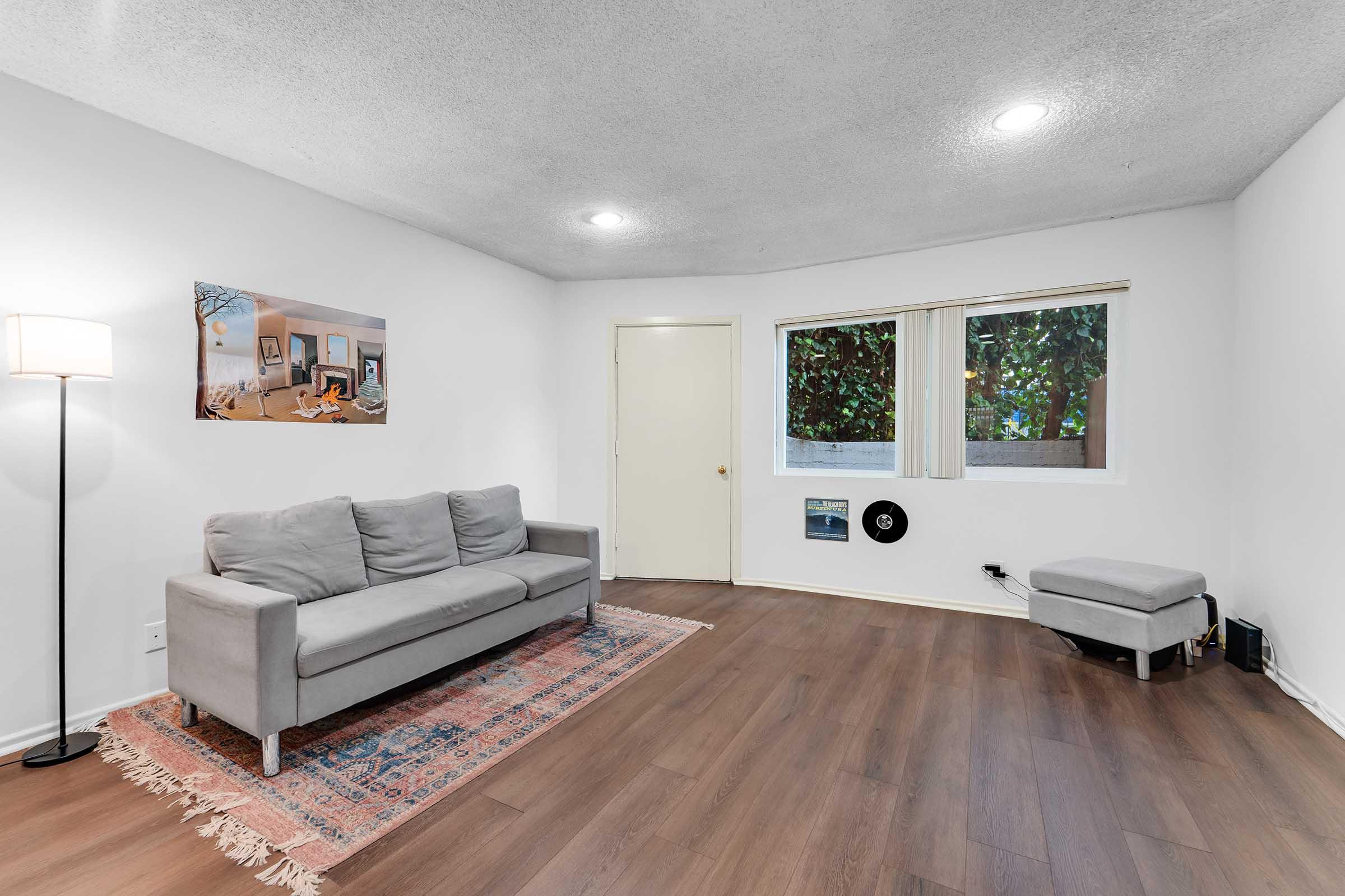 A cozy living room featuring a light gray sofa, a small side table, and a colorful area rug. Natural light streams in through a large window adorned with greenery. A piece of art hangs on the wall, while a door leads to another space. The floor is a warm wooden finish, creating a welcoming atmosphere.
