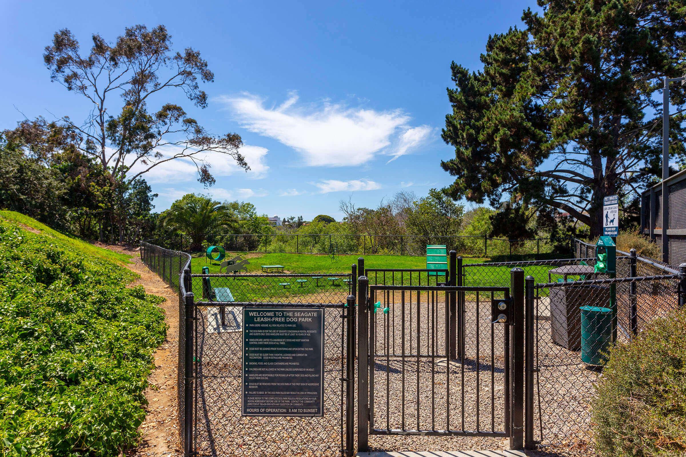 a close up of a green fence