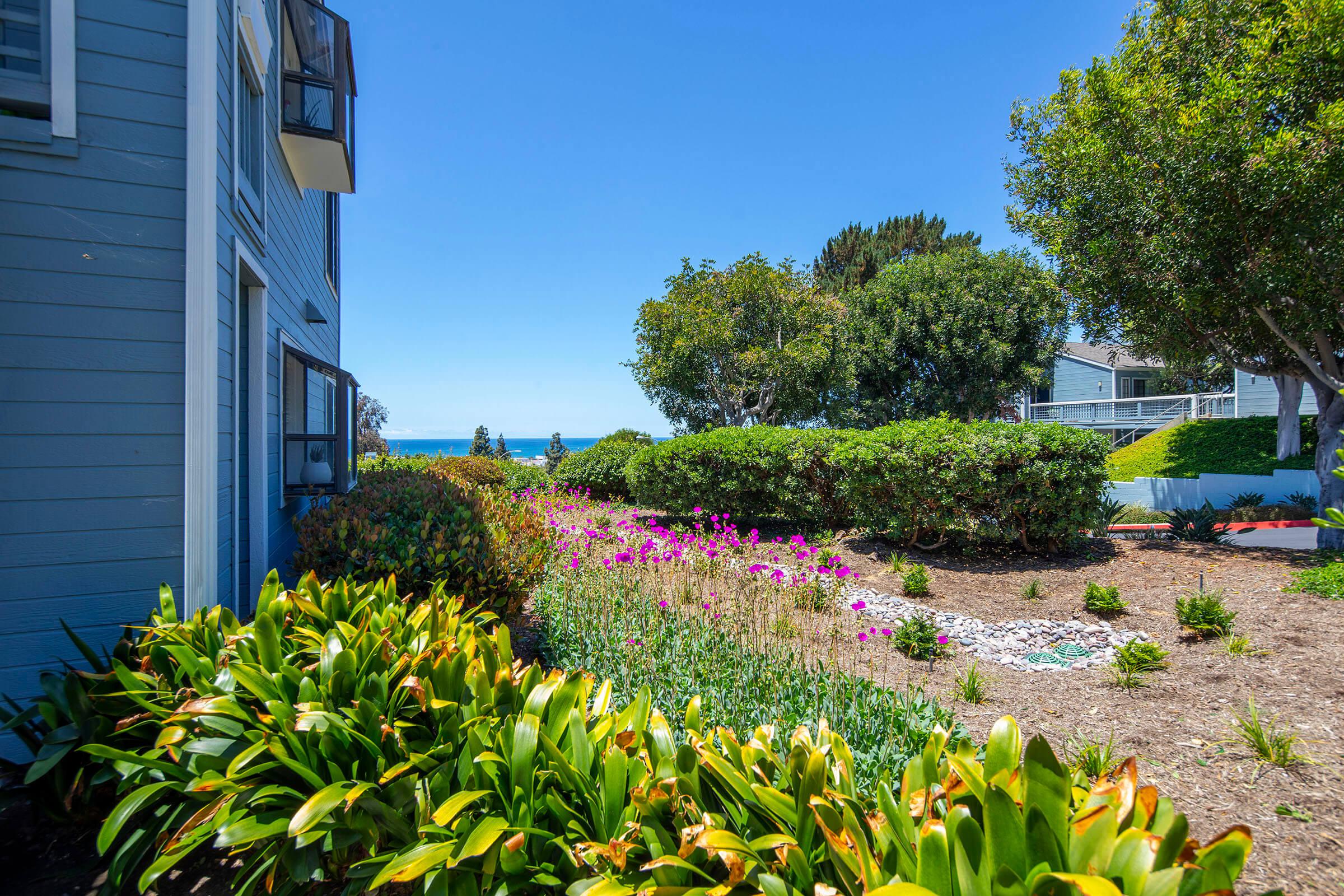 a close up of a flower garden in front of a building