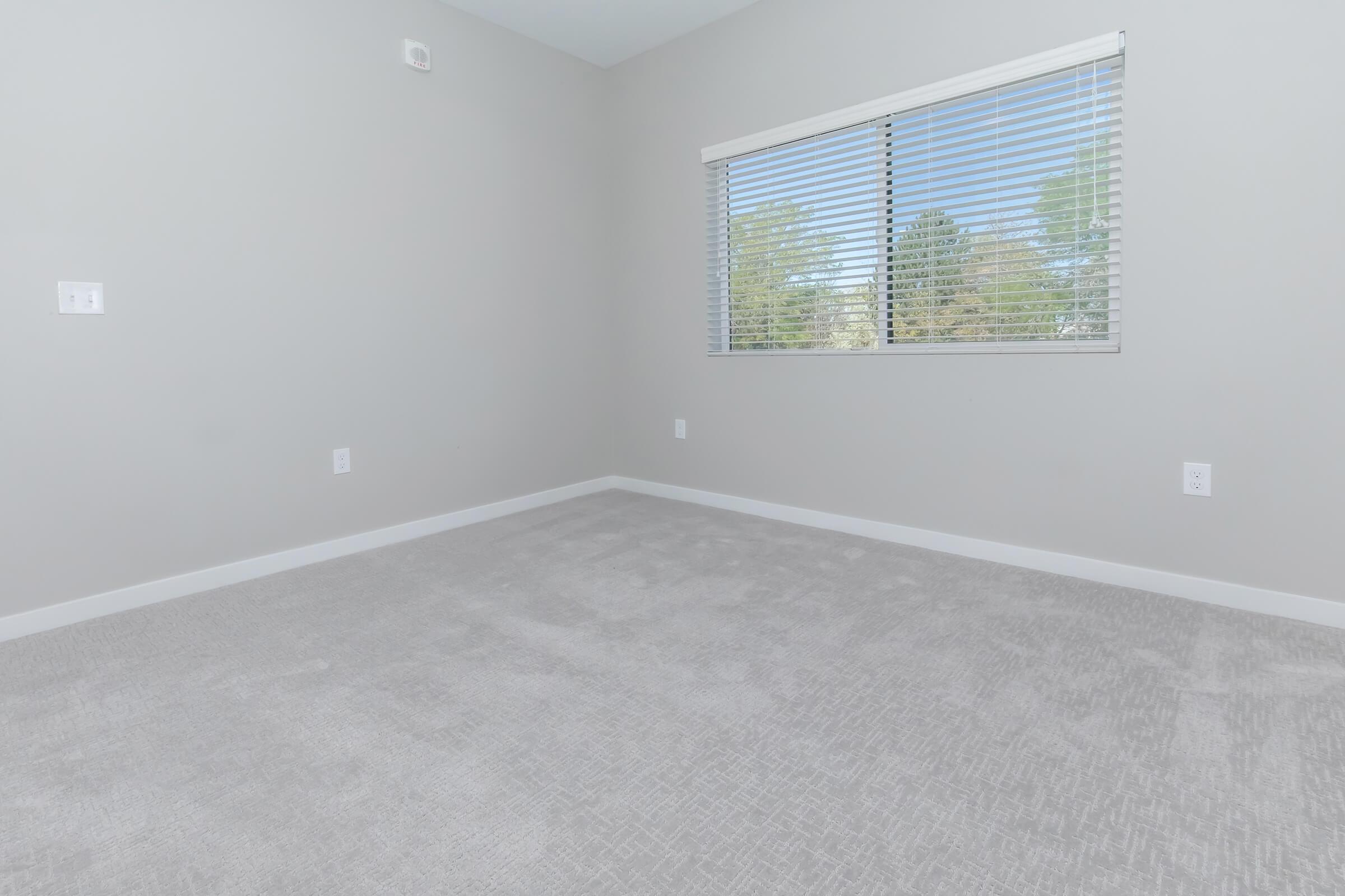 Empty room with light gray walls and a large window with blinds. The floor is covered with plush gray carpet, giving a clean and spacious appearance. There are no furniture or decorations in the room, creating a minimalist look. Natural light comes in through the window, illuminating the space.