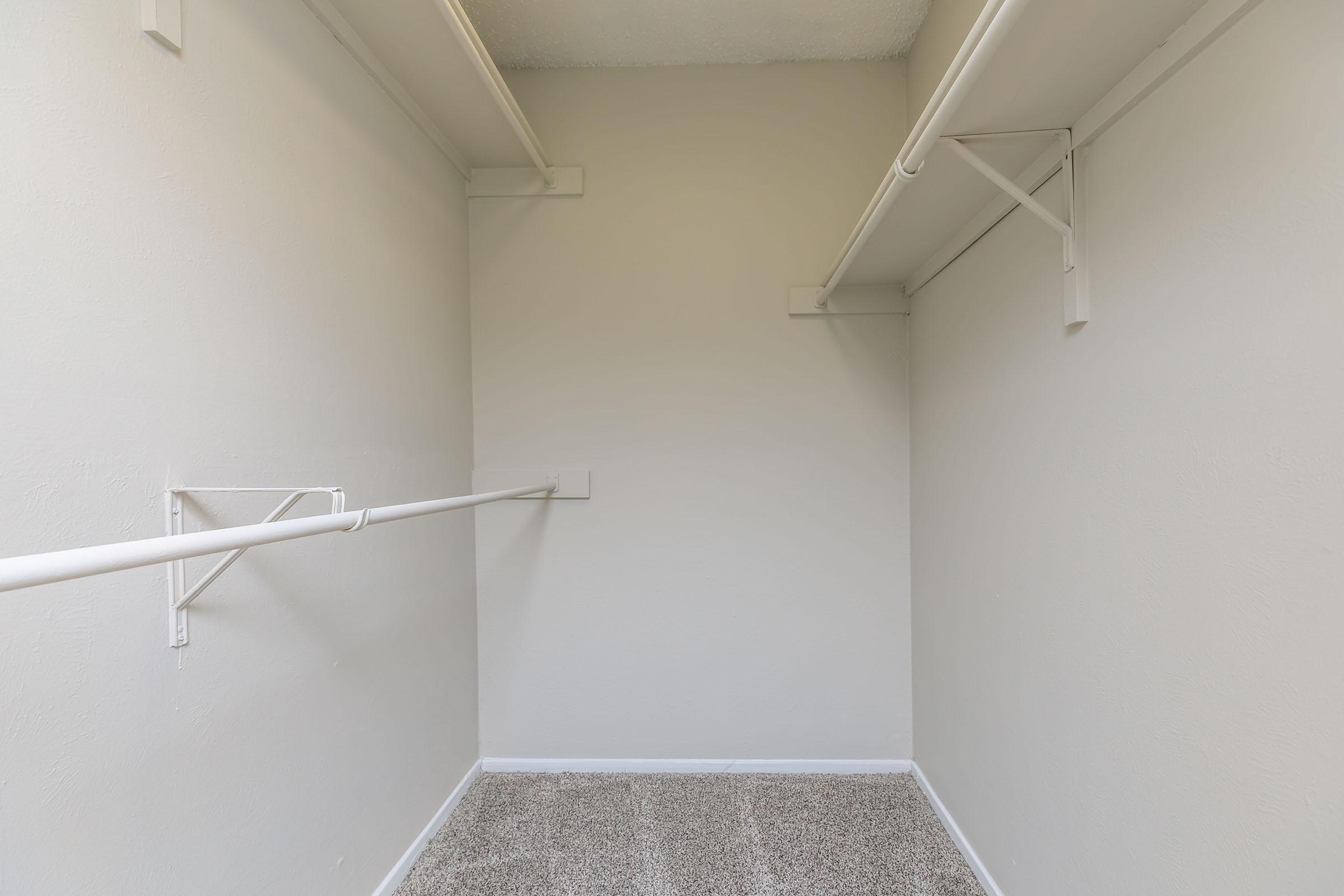 walk-in closet with carpet