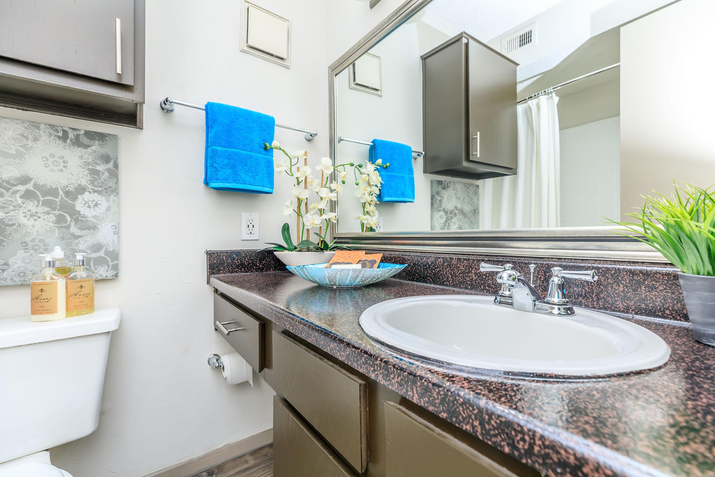 furnished bathroom with granite countertops