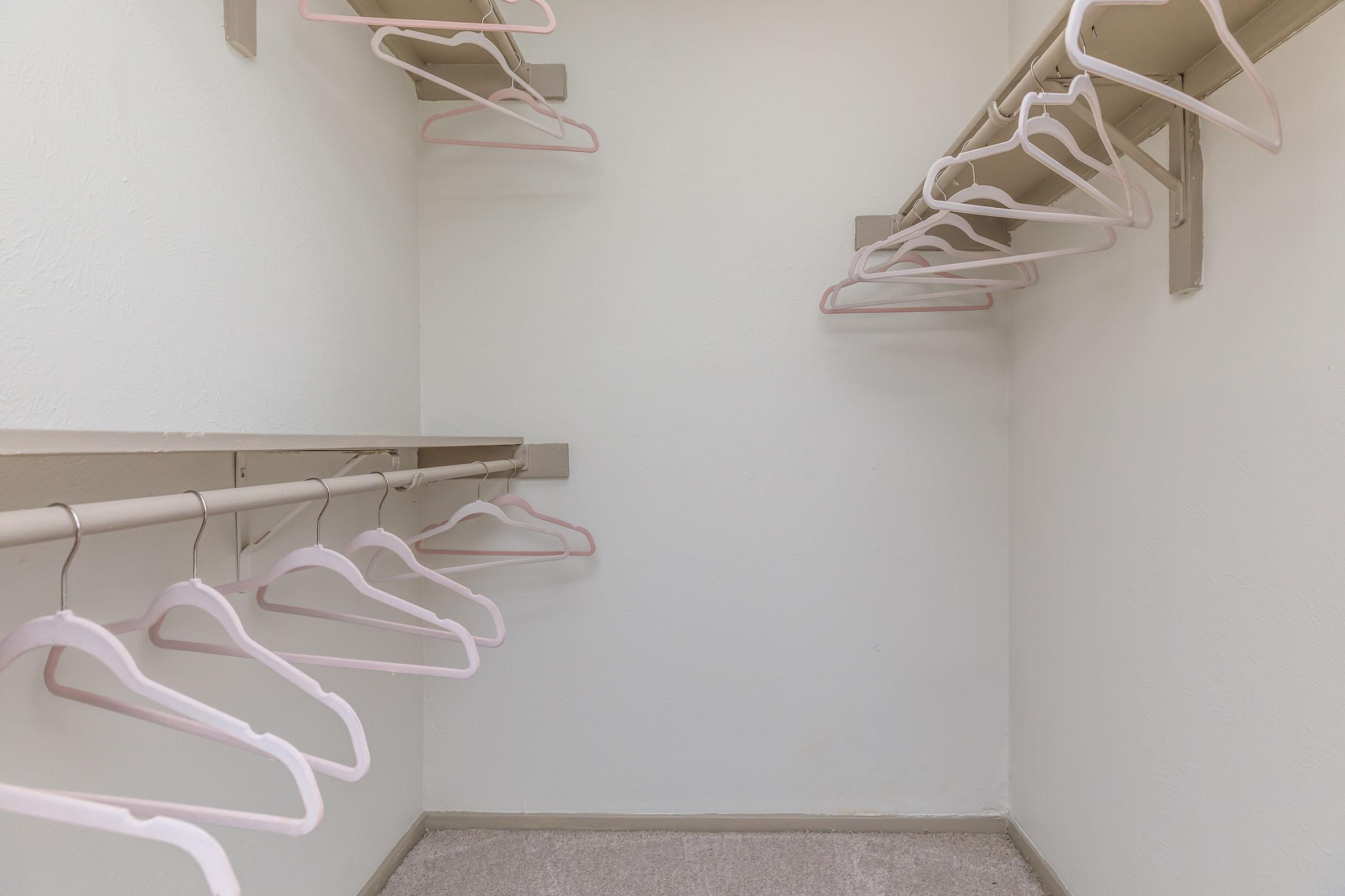 walk-in closet with hangers