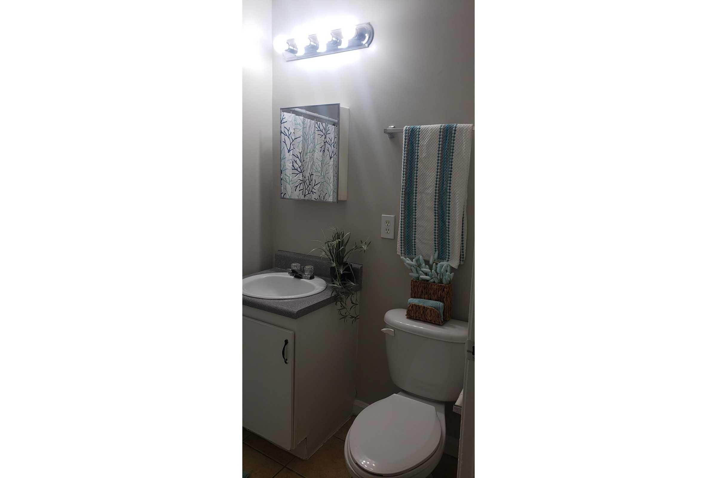 A small bathroom featuring a white sink with a gray countertop, a wall-mounted mirror, a towel rack with a decorative towel, and a potted plant. The toilet is positioned beside a light fixture above the mirror, and the walls are painted a light color, creating a clean and bright atmosphere.