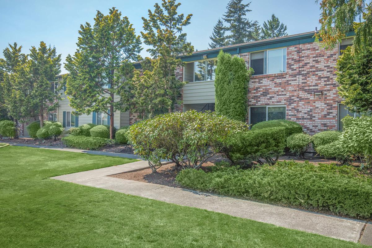 a tree in front of a house