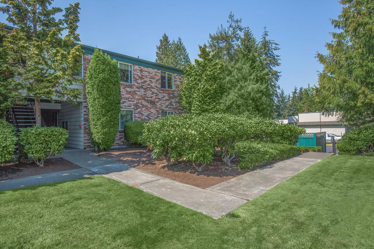 a yard with grass and trees