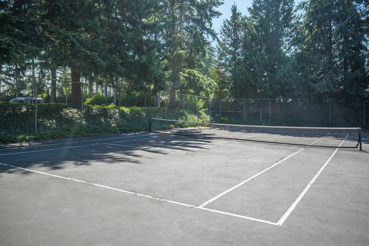 a basketball on a court with a racket
