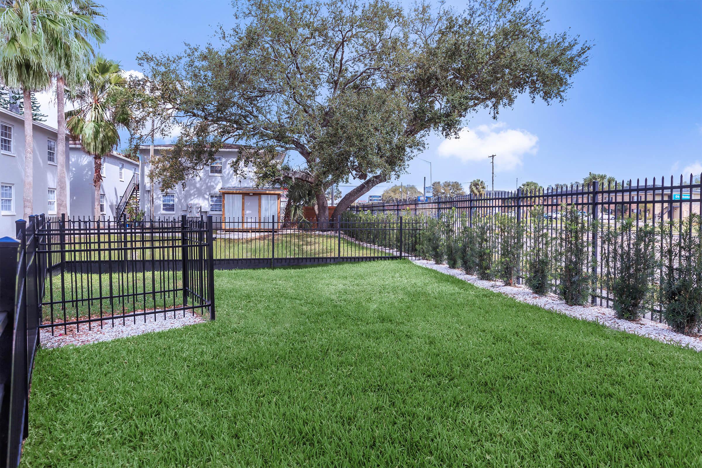 a tree in a fenced in area