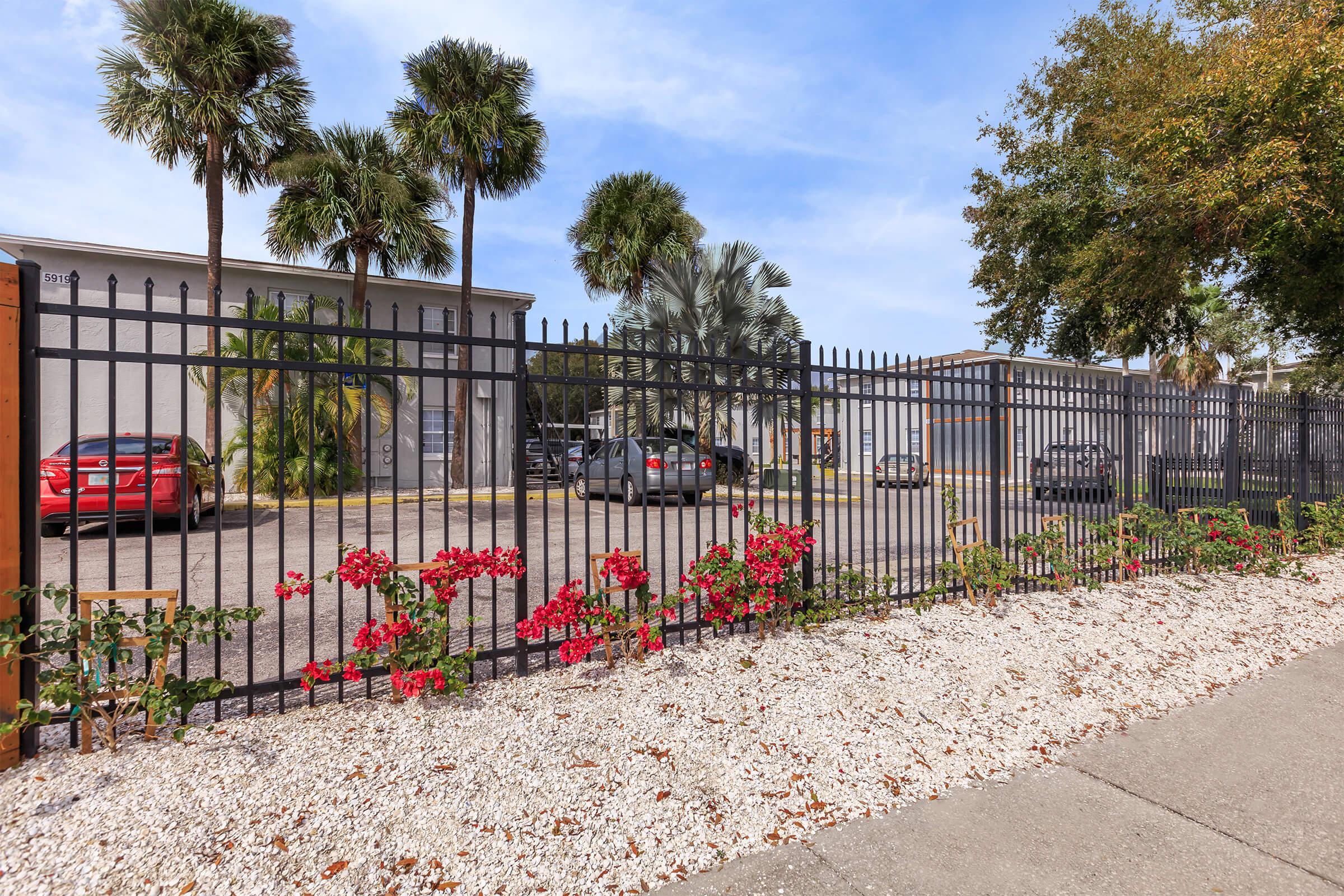 a row of palm trees and a fence