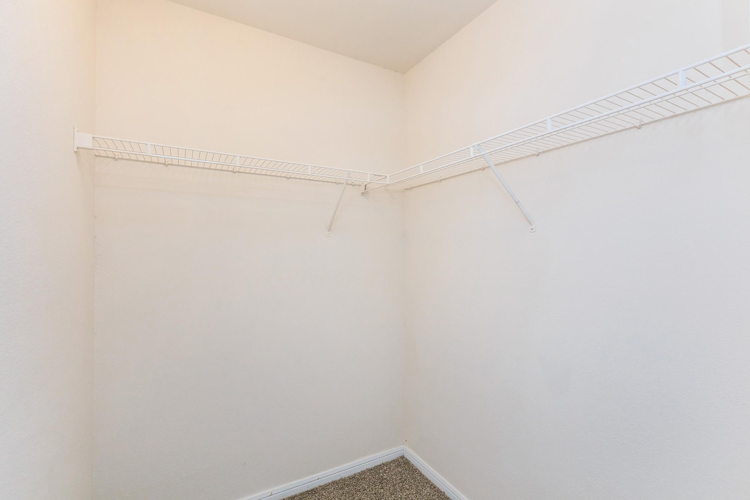 AMPLE STORAGE SPACE IN CLOSET