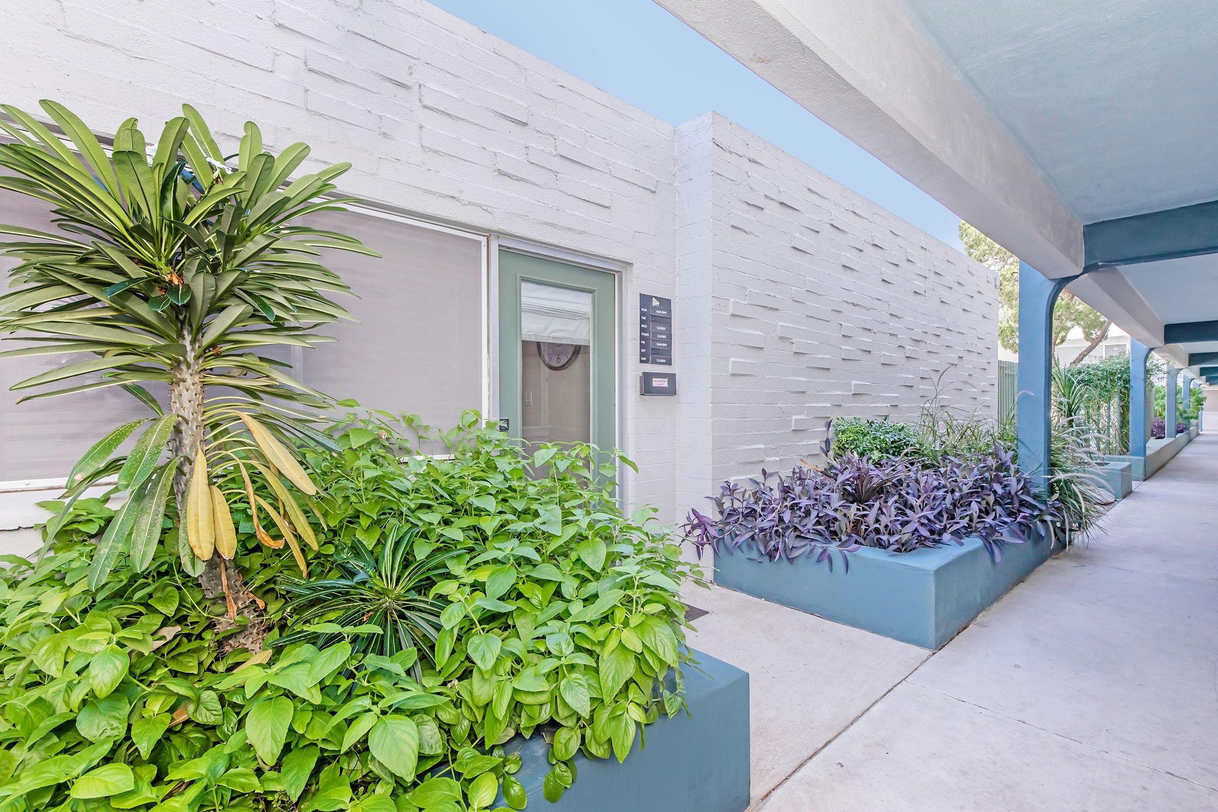 A modern building exterior featuring a paved walkway surrounded by lush greenery and decorative plants. The white textured wall contrasts with vibrant green foliage and purple plants, creating an inviting atmosphere. The entrance of the building is visible with a door and signage nearby.