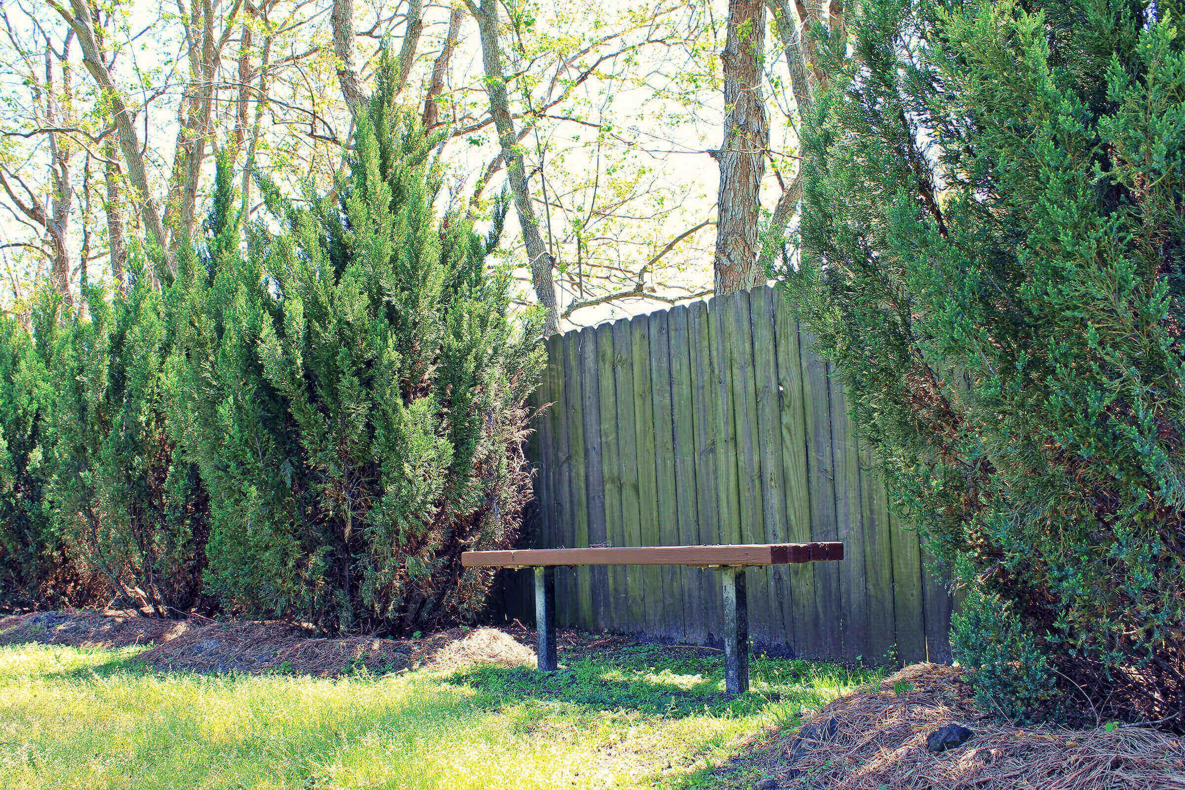 a tree in front of a fence