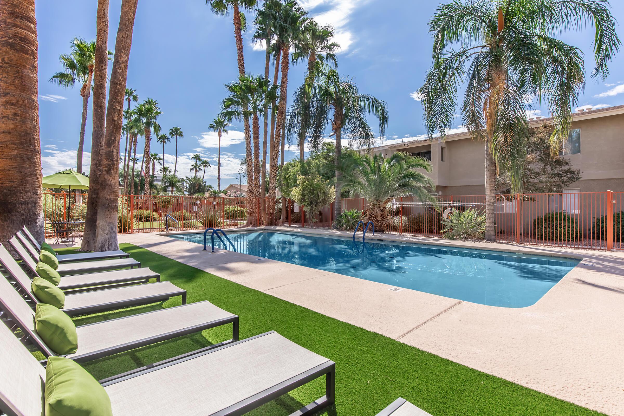 A sunny pool area surrounded by palm trees and other greenery. Comfortable lounge chairs with green cushions are positioned by the pool. The clear blue sky reflects above, and the tranquil atmosphere suggests a relaxing outdoor space.