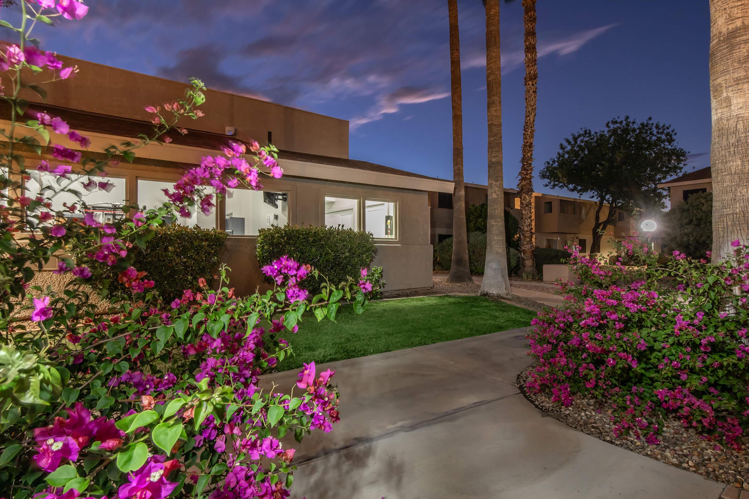 A pathway lined with vibrant pink bougainvillea flowers leads to a building, framed by tall palm trees under a twilight sky. The scene is serene, highlighting the colorful flora and soft evening light, creating a tranquil atmosphere in a residential area.
