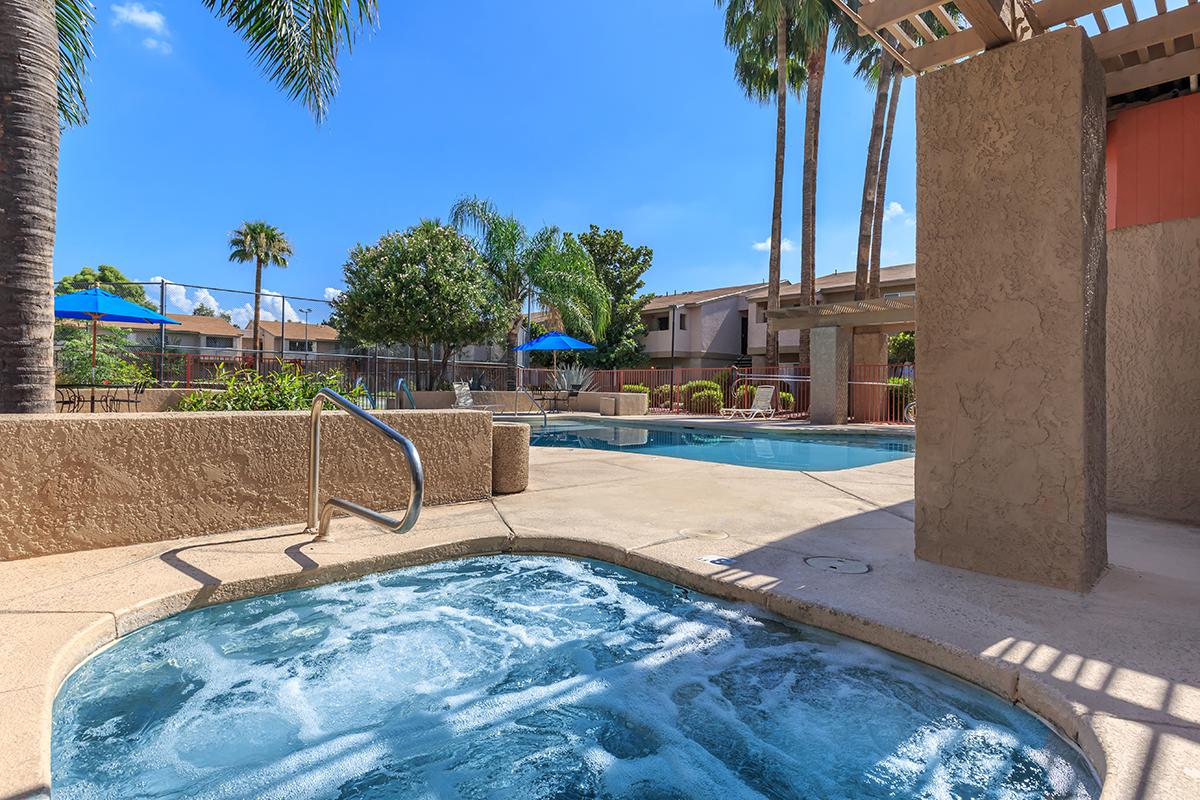 a pool next to a palm tree in front of a building