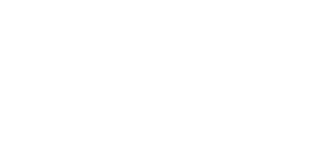 Shadowtree ebrochure logo
