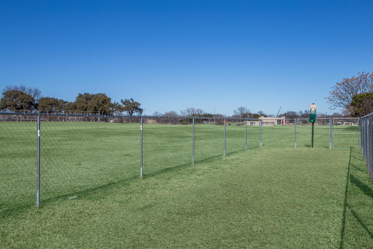 a close up of a green field