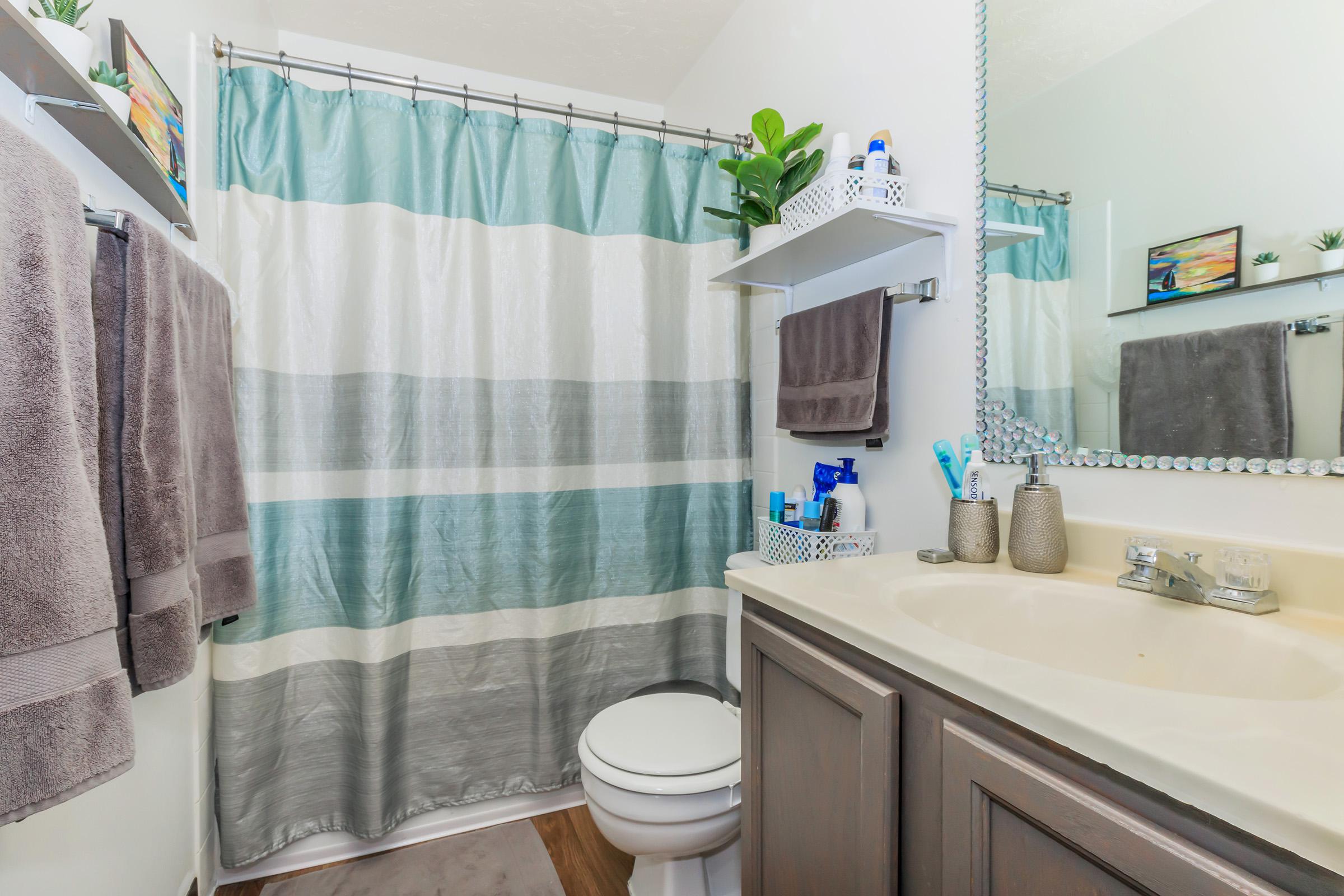 a shower curtain next to a sink