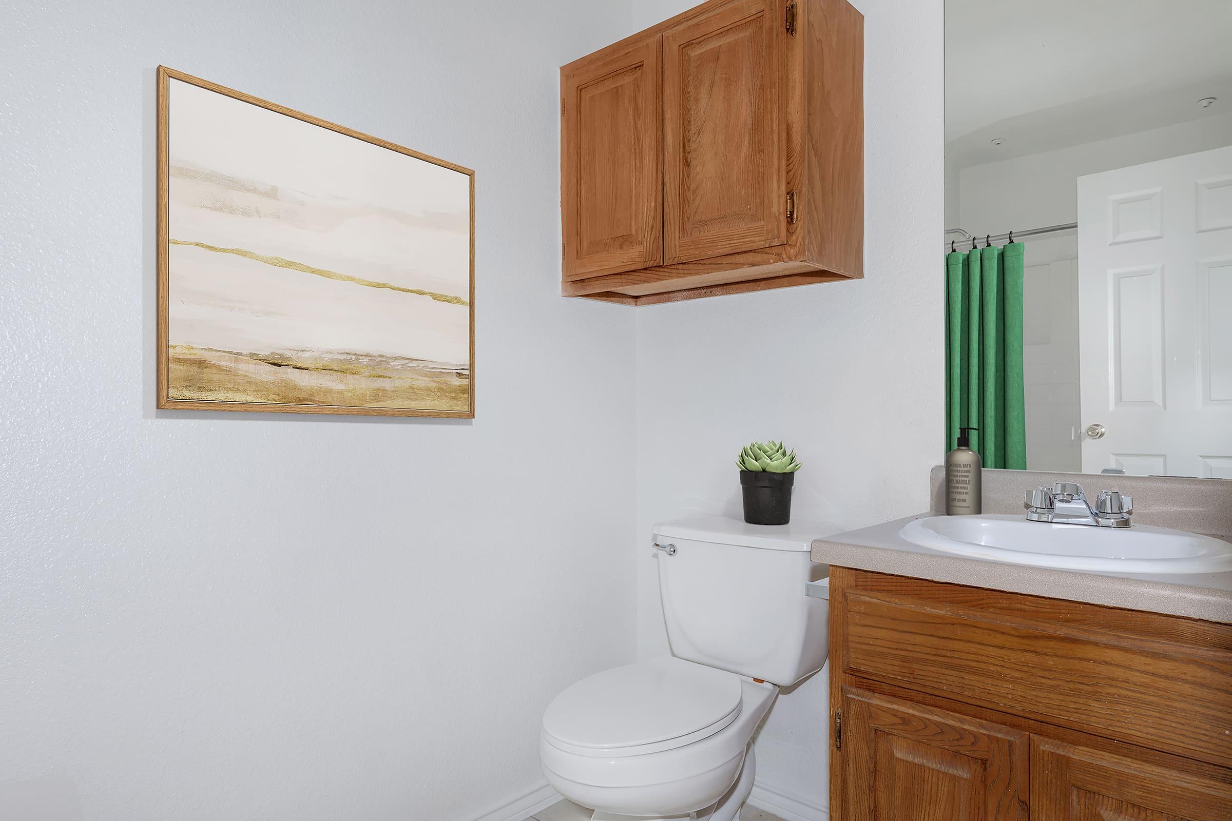 A clean bathroom featuring a toilet, a wooden cabinet above, and a sink with a countertop. A green shower curtain is visible in the background, along with a potted plant on the sink and a piece of abstract art on the wall. The walls are painted white, creating a bright and pleasant atmosphere.