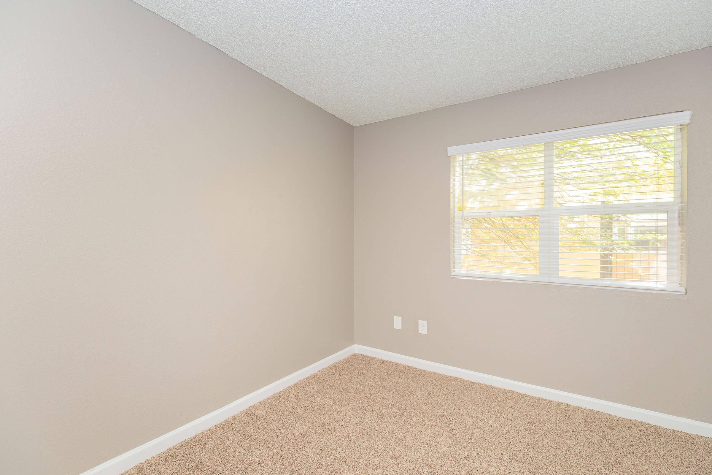 A well-lit, vacant room with light beige walls and soft carpet flooring. The window features white blinds, allowing natural light to fill the space. The room appears clean and uncluttered, ideal for various uses such as a bedroom or office.