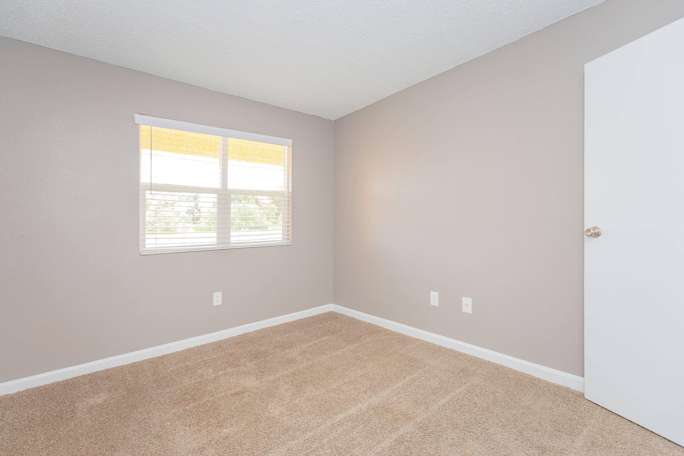 Empty room with light gray walls and beige carpet. There's a window with white blinds letting in natural light, and a plain white door on one side. The space appears clean and minimalistic, suitable for various purposes like a bedroom or study.
