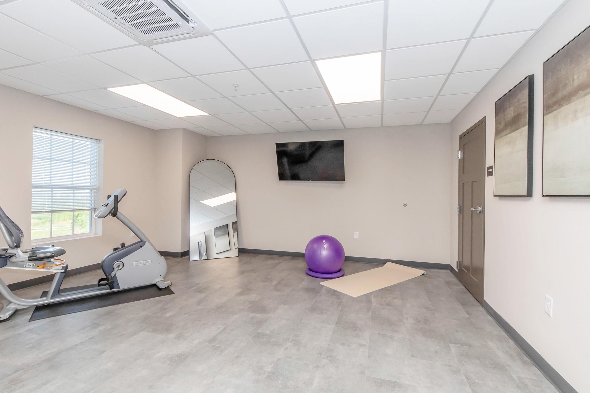 Fitness room featuring a stationary bike, a large purple exercise ball, a yoga mat on the floor, a wall-mounted TV, and a full-length mirror. The space has neutral-colored walls and a clean, modern design, with ample natural light coming through the windows.