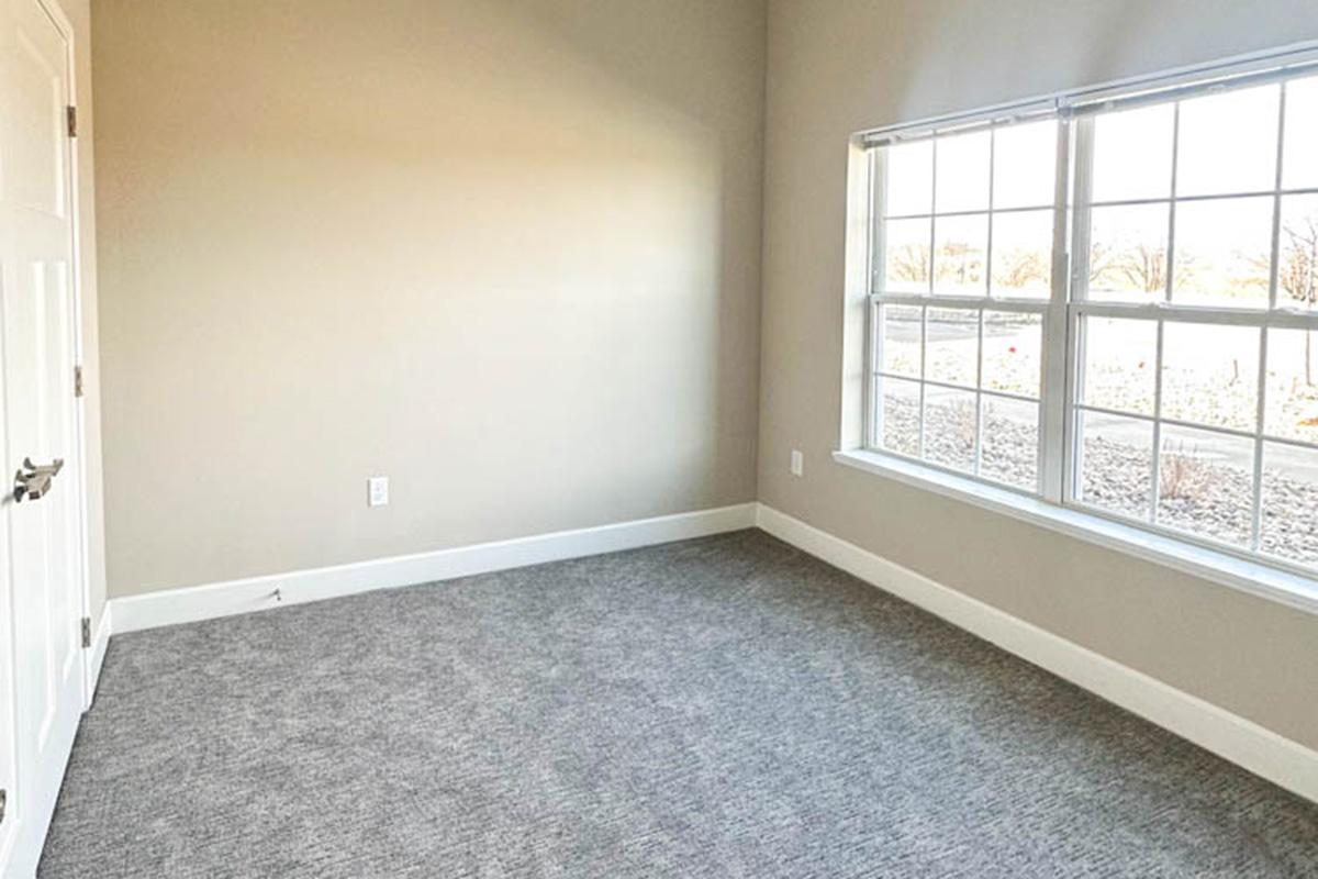 A well-lit, empty room with gray carpet, a single window featuring a view of trees and outdoors, and a white door on the left. The walls are a soft beige color, creating a neutral and open atmosphere.