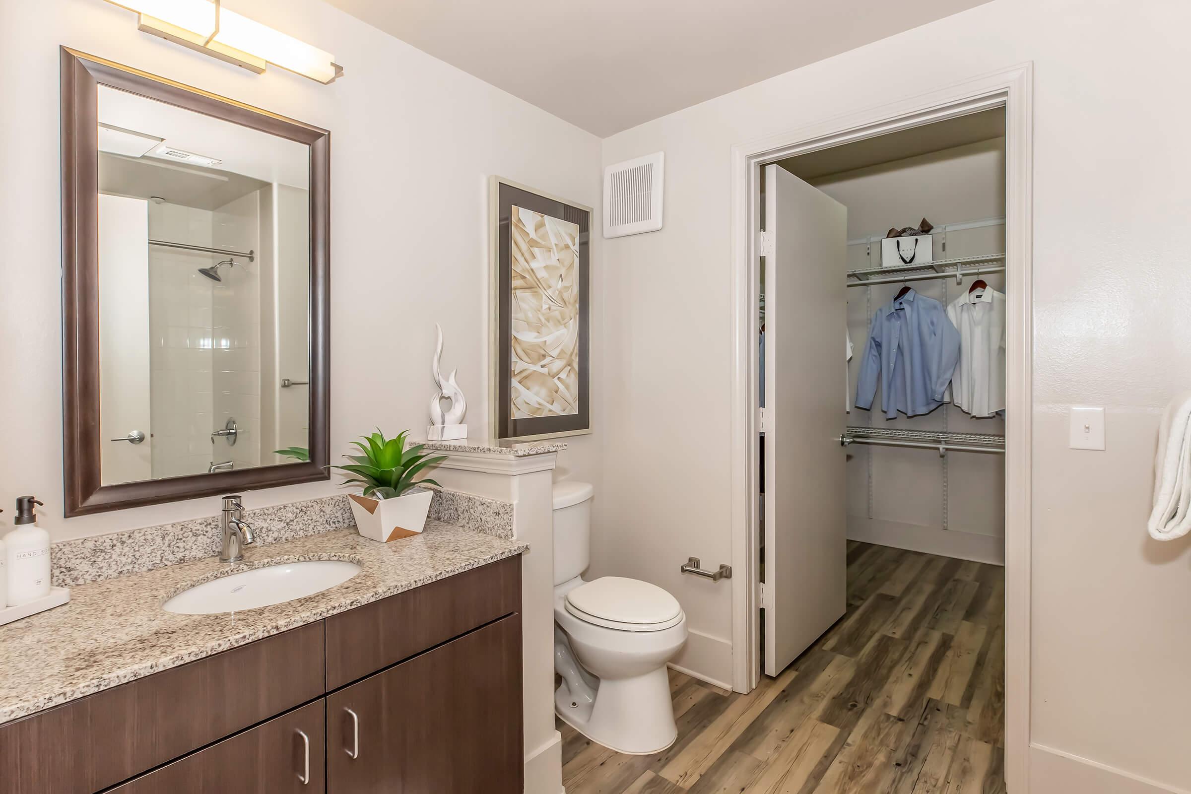 A modern bathroom featuring a granite countertop sink, a large mirror, and a plant on the vanity. A white toilet is positioned next to the sink. The room has light-colored walls and wooden flooring. A door leads to a closet with shelves that contains hanging clothes and additional storage space.