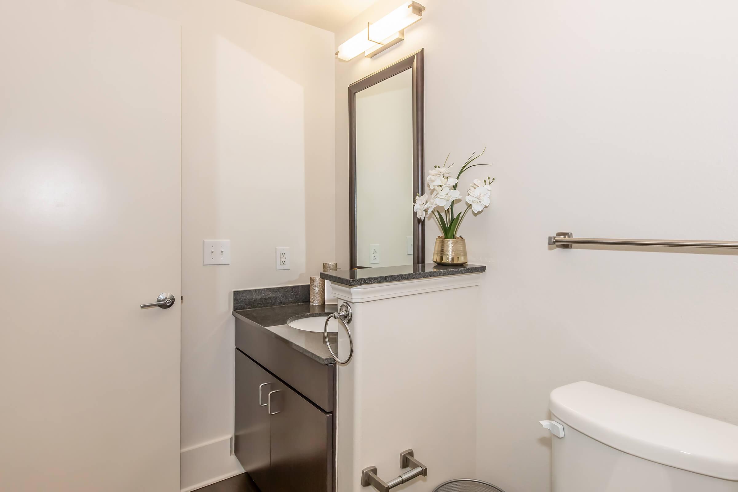 A clean and modern bathroom featuring a white wall, a sleek dark vanity with a sink, a large mirror with light fixtures above, and a decorative vase with flowers. The toilet is positioned to the right, and there is a door partially visible, indicating access to the restroom.