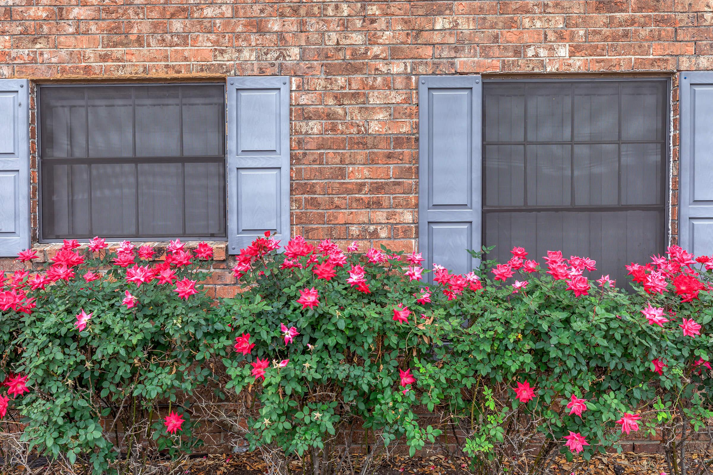 a pink flower is standing in front of a brick building