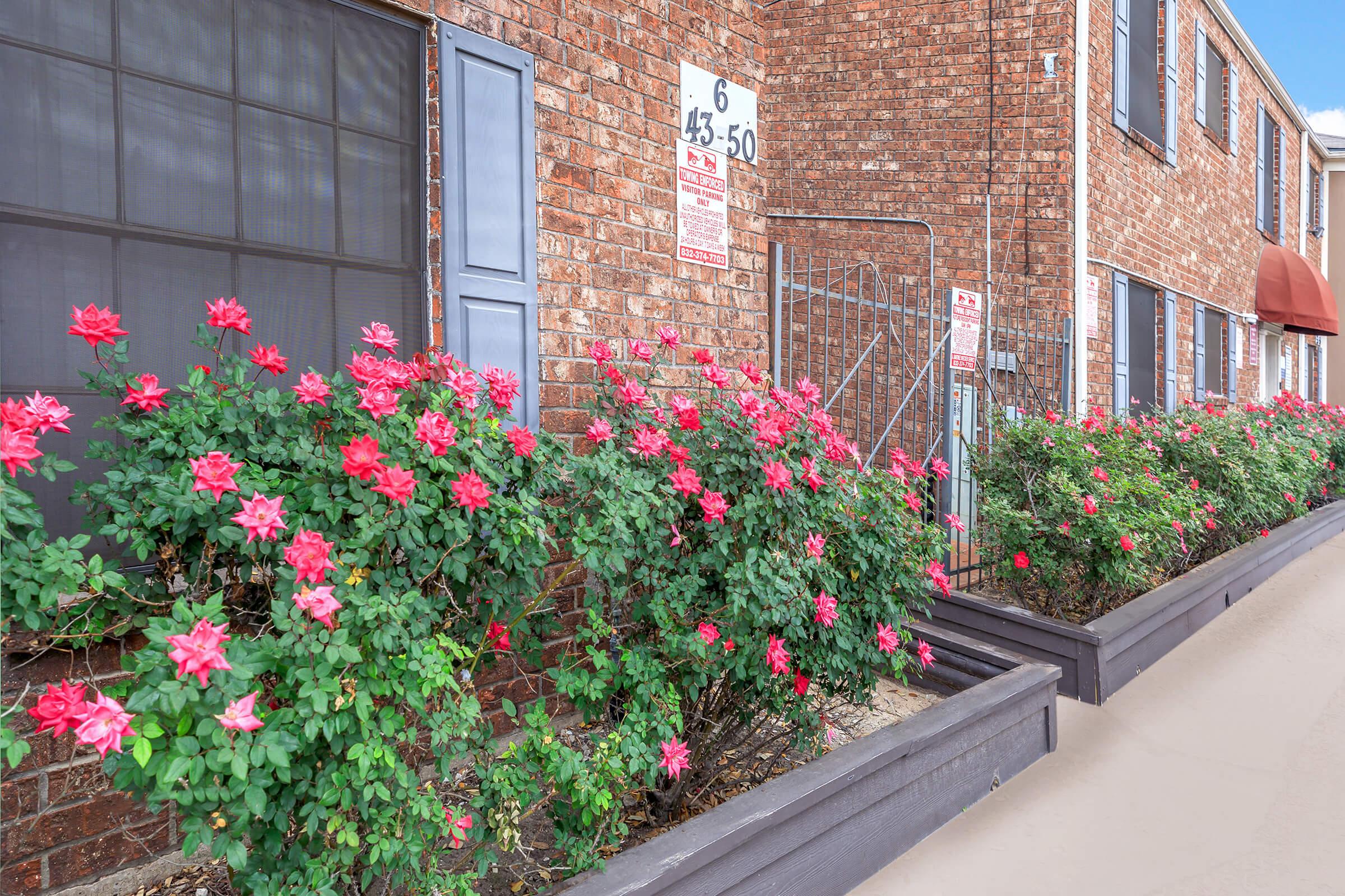 a colorful flower garden in front of a brick building