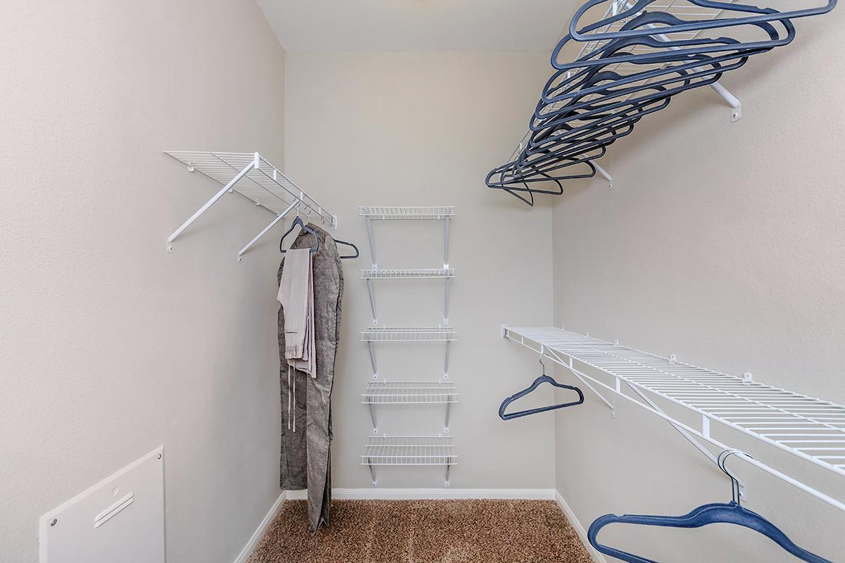 SPACIOUS WALK-IN CLOSET