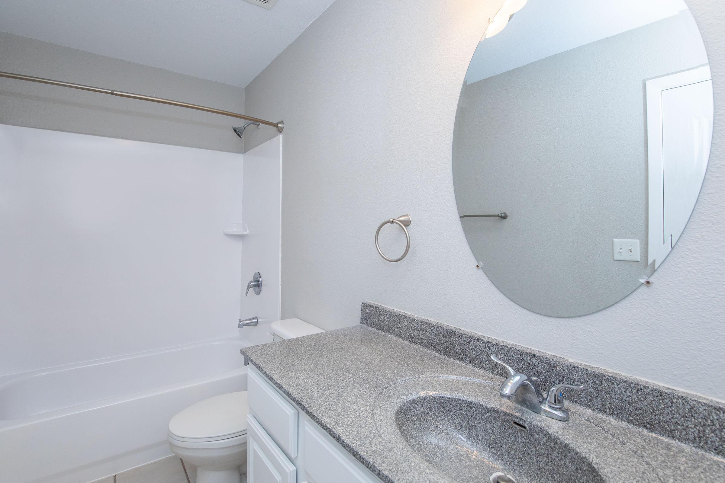 a sink and a mirror