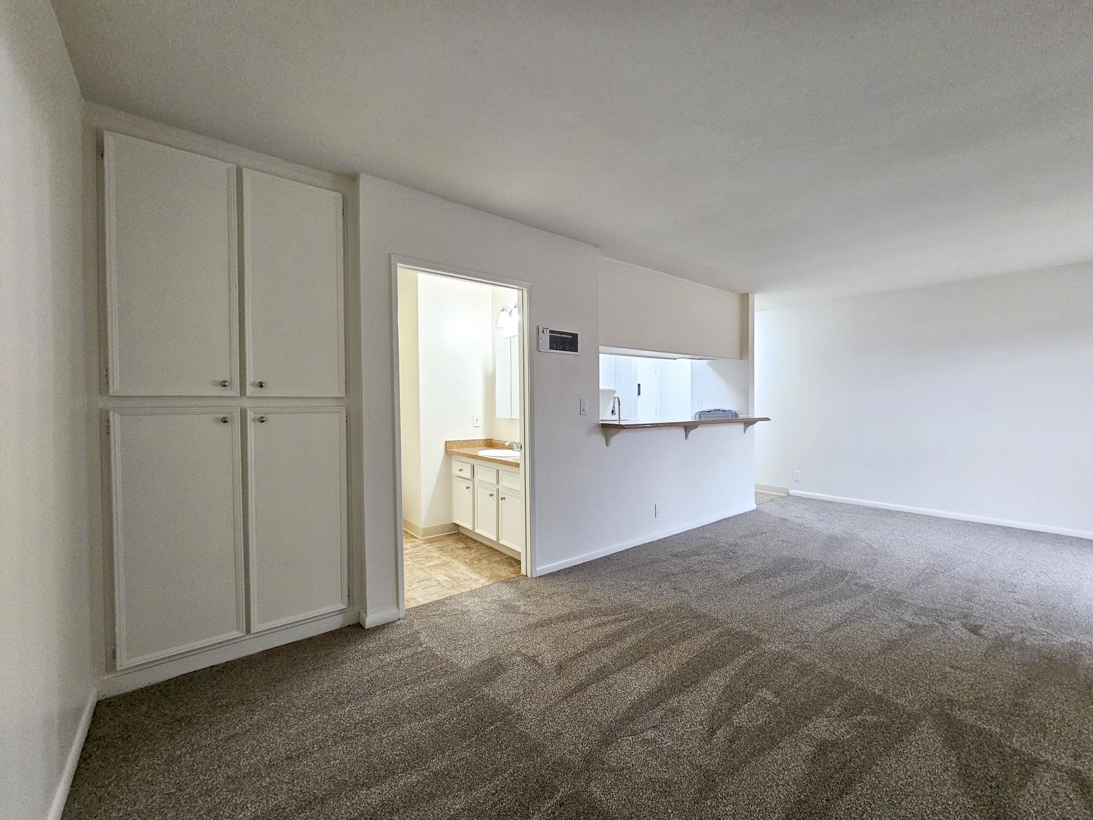 Spacious living area with carpeted flooring, featuring an open layout connecting to a small kitchen area. A doorway leads to a bathroom with a light-colored vanity. Walls are painted in neutral tones, and built-in cabinets are visible on the left side. Natural light enhances the inviting atmosphere.