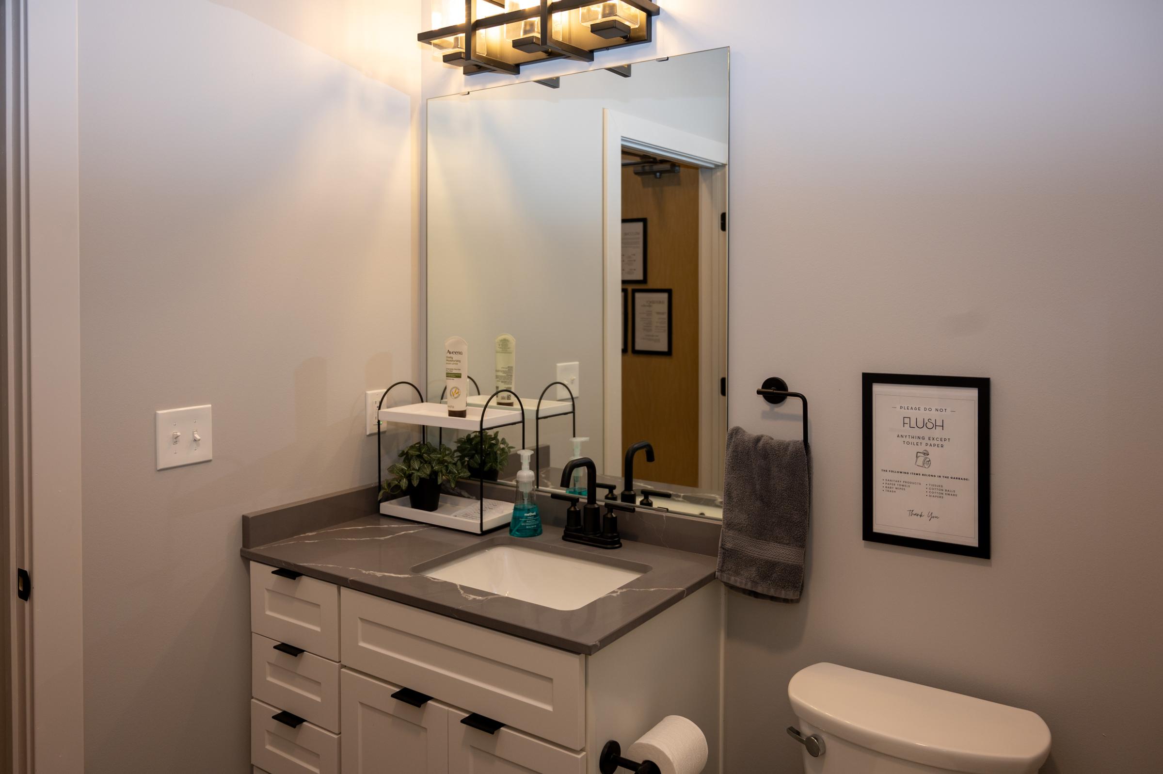 A modern bathroom featuring a double sink vanity with a gray countertop, a large mirror above, and stylish lighting. There are decorative plants, hand soap, and towels neatly arranged. A framed sign on the wall reminds to flush, and a white toilet is visible to the right. The walls are painted a light color, giving a clean look.