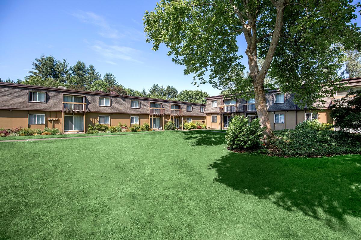 a large lawn in front of a house