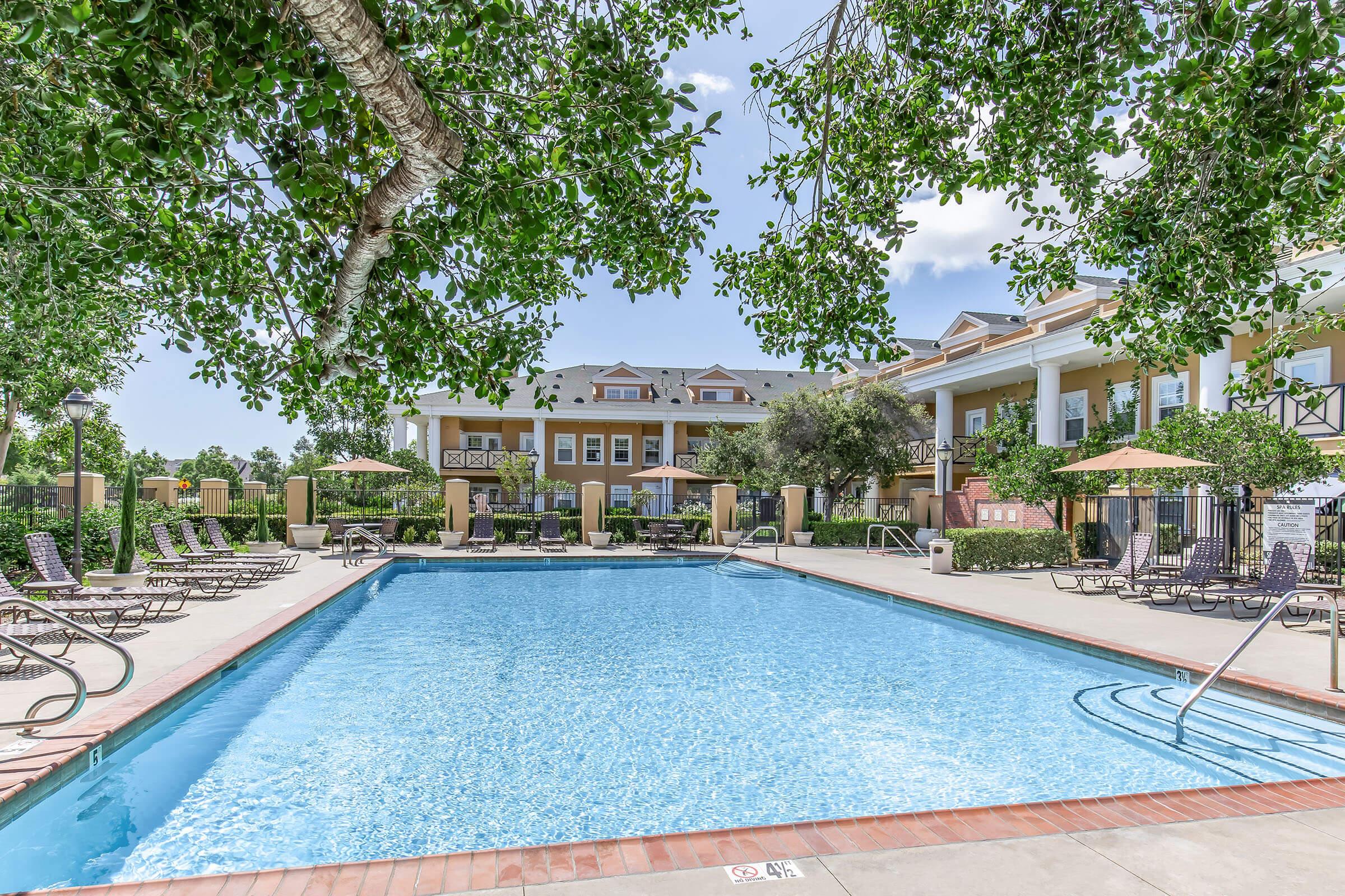 A bright outdoor pool area with clear blue water, surrounded by lounge chairs and umbrellas. The poolside is framed by lush greenery and a building in the background featuring a balcony and large windows, creating a relaxing atmosphere under a sunny sky.