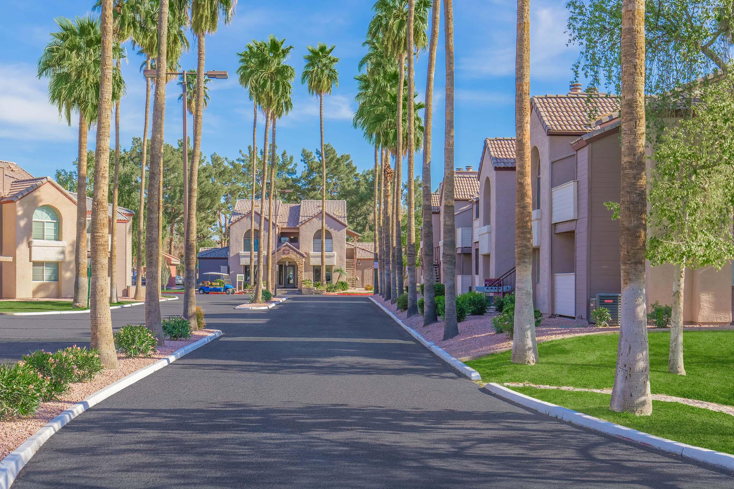 A peaceful residential area featuring palm trees lining a paved road. In the background, a well-maintained apartment complex with a mix of architectural styles under a clear blue sky. Lush green grass and decorative landscaping enhance the inviting atmosphere.