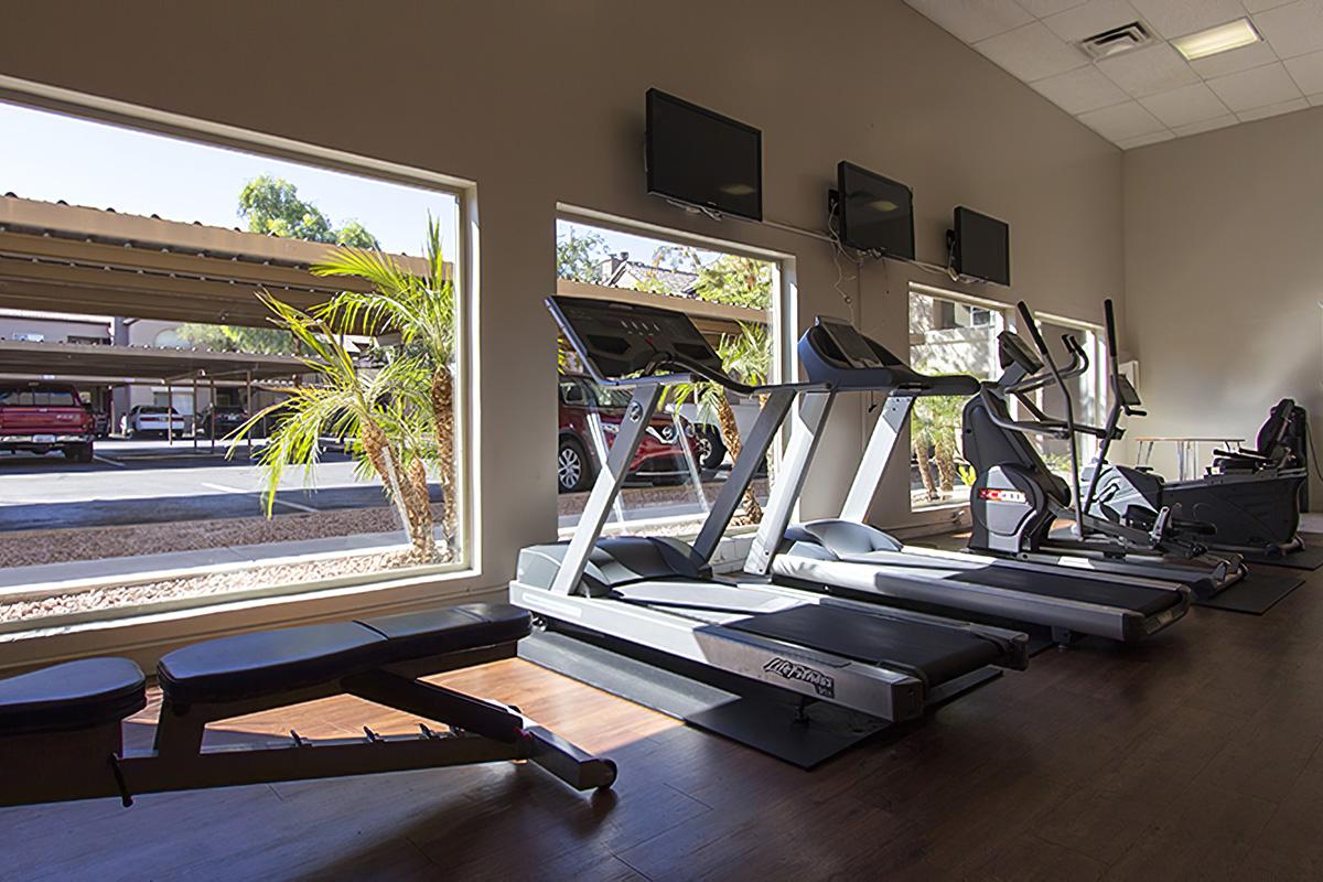 A well-lit gym interior featuring several exercise machines, including treadmills and an elliptical, positioned by large windows. Outside the windows, there's a view of parked cars and palm trees, creating a bright and inviting workout space.