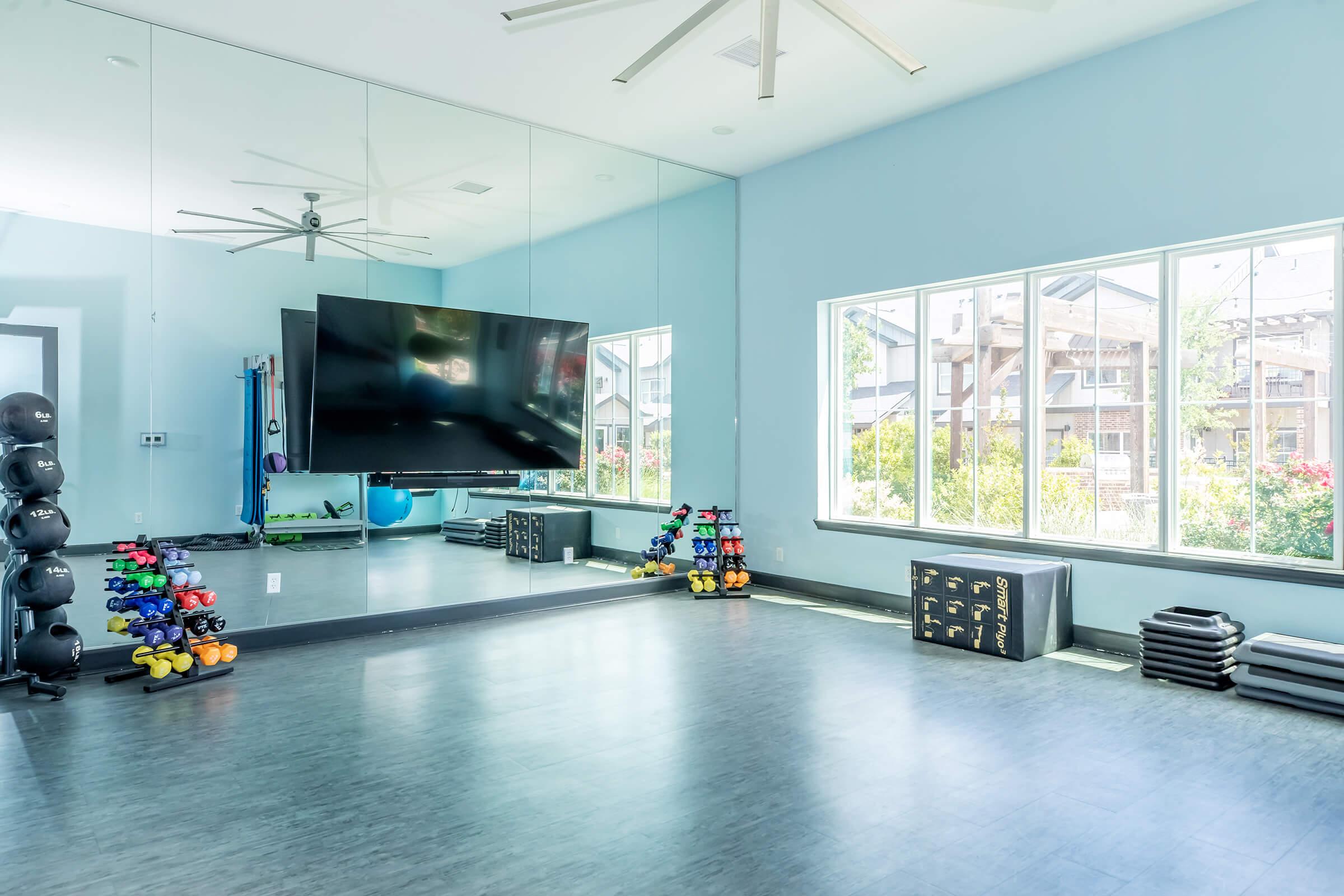 A spacious fitness room featuring a large mirror, a flat-screen TV mounted on the wall, and various workout equipment. Colorful dumbbells are neatly arranged on both sides, while black gym mats and a stability ball are also visible. Bright natural light streams in through large windows.