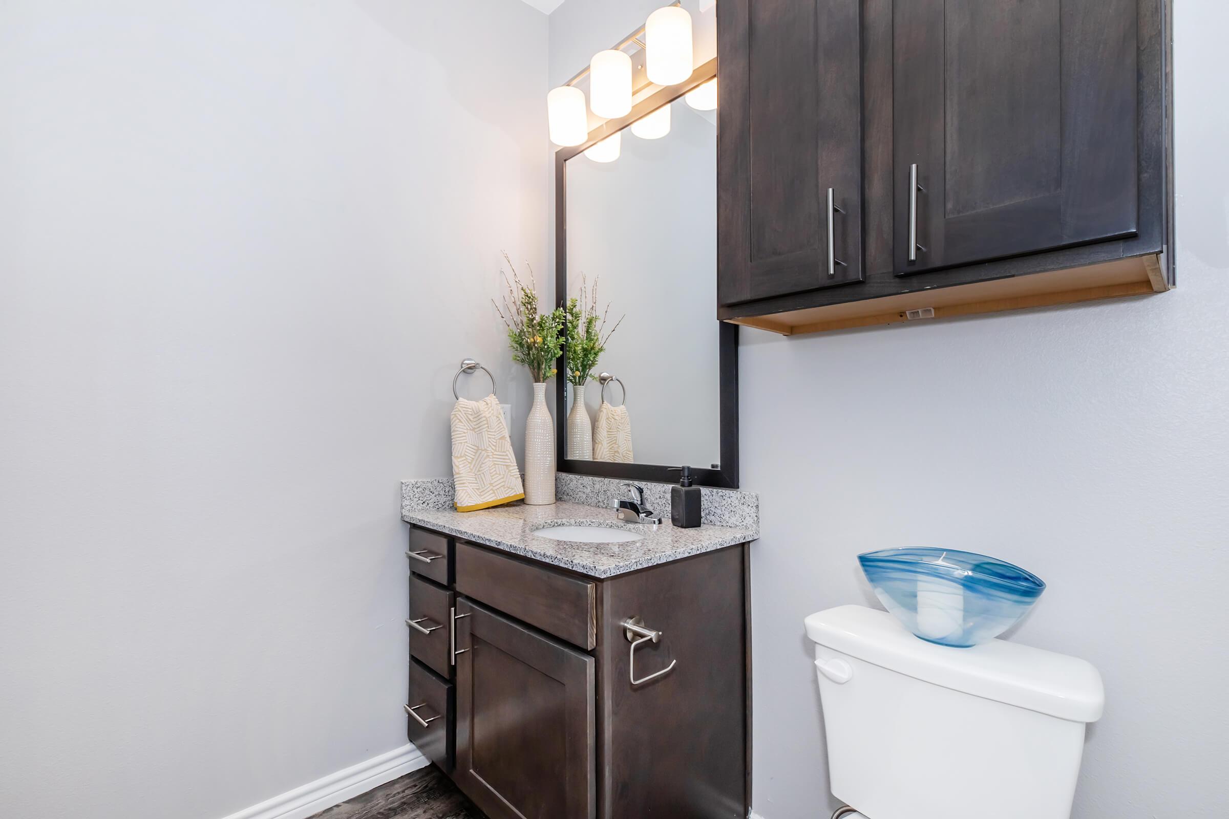 Modern bathroom featuring a dark wood vanity with a granite countertop, a mirror with four light fixtures above, and decorative items including a plant and towels. There is a blue glass bowl on the countertop and a white toilet to the side against a gray wall.