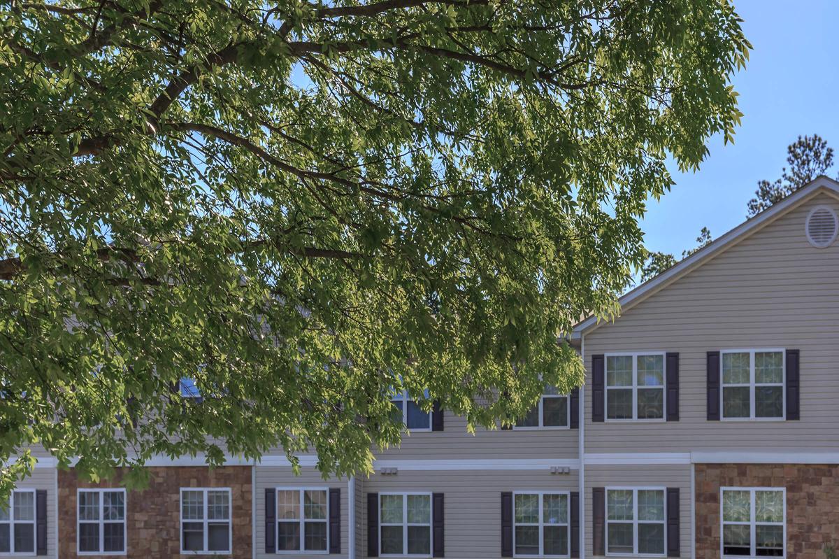 a tree in front of a building