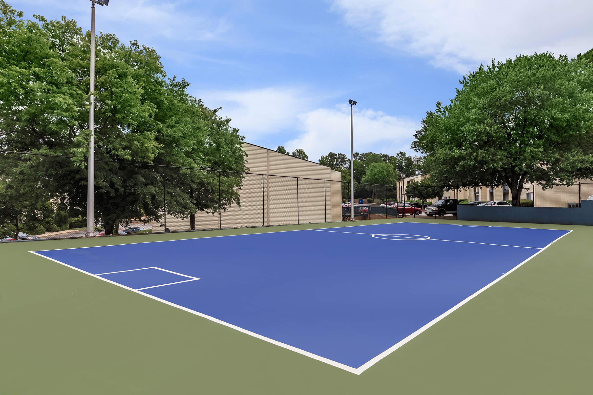 Sports Court - The Ivy Apartments - Greenville - South Carolina