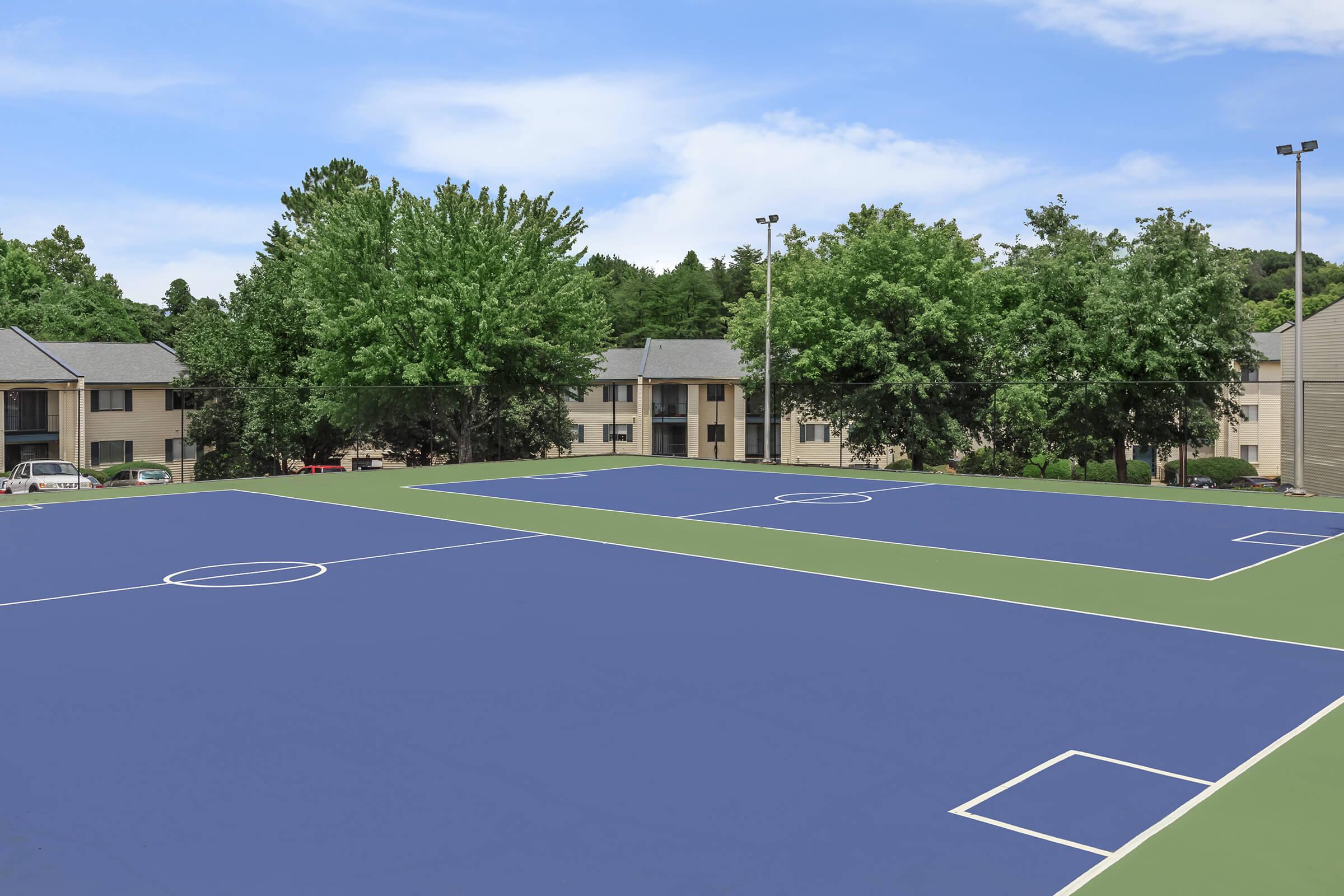 Sports Court - The Ivy Apartments - Greenville - South Carolina