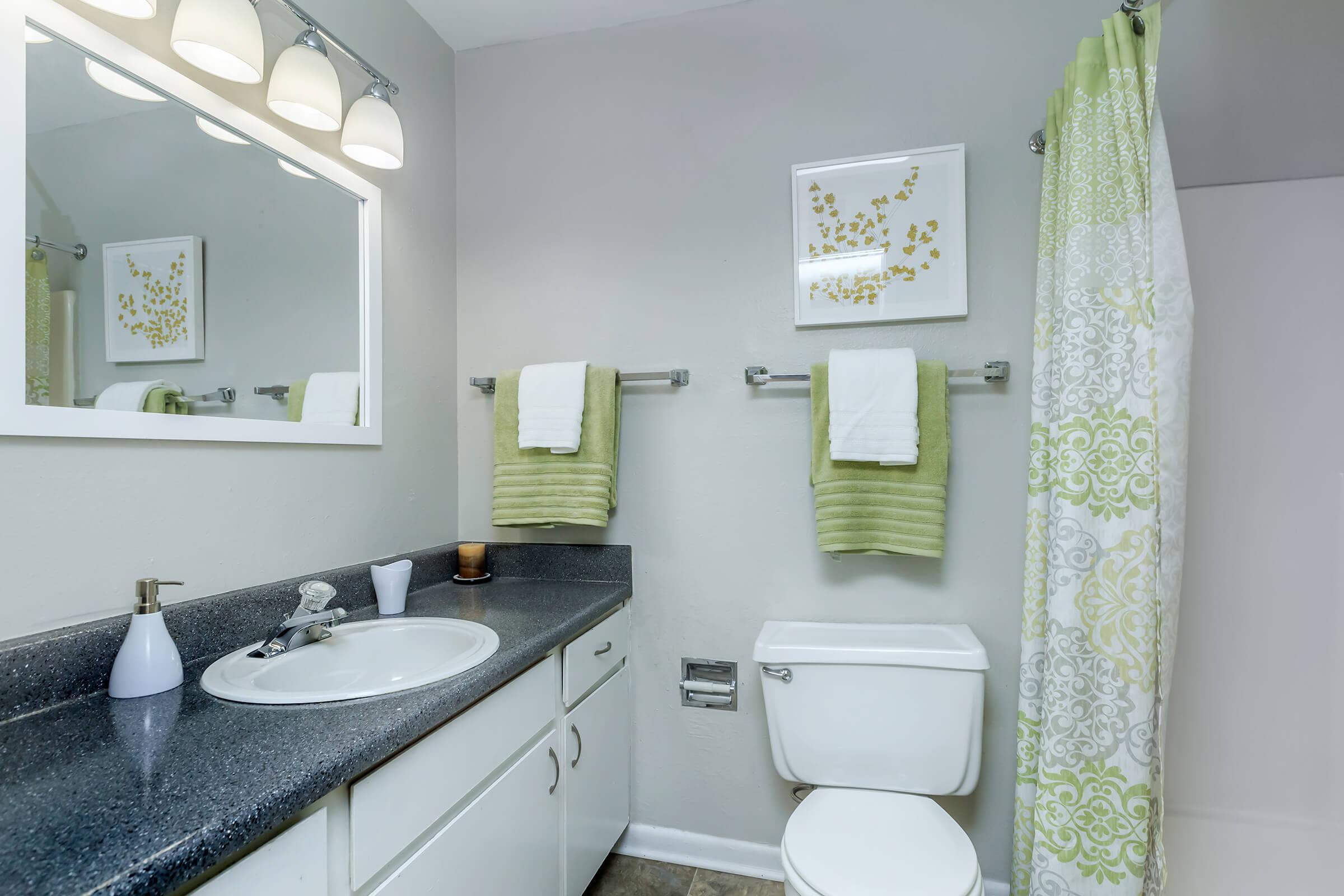 Bathroom - The Ivy Apartments - Greenville - South Carolina