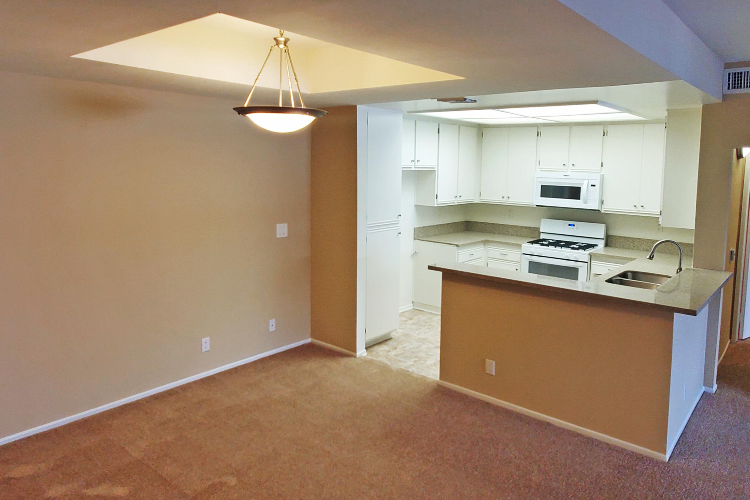 Living Room - Kitchen.jpg