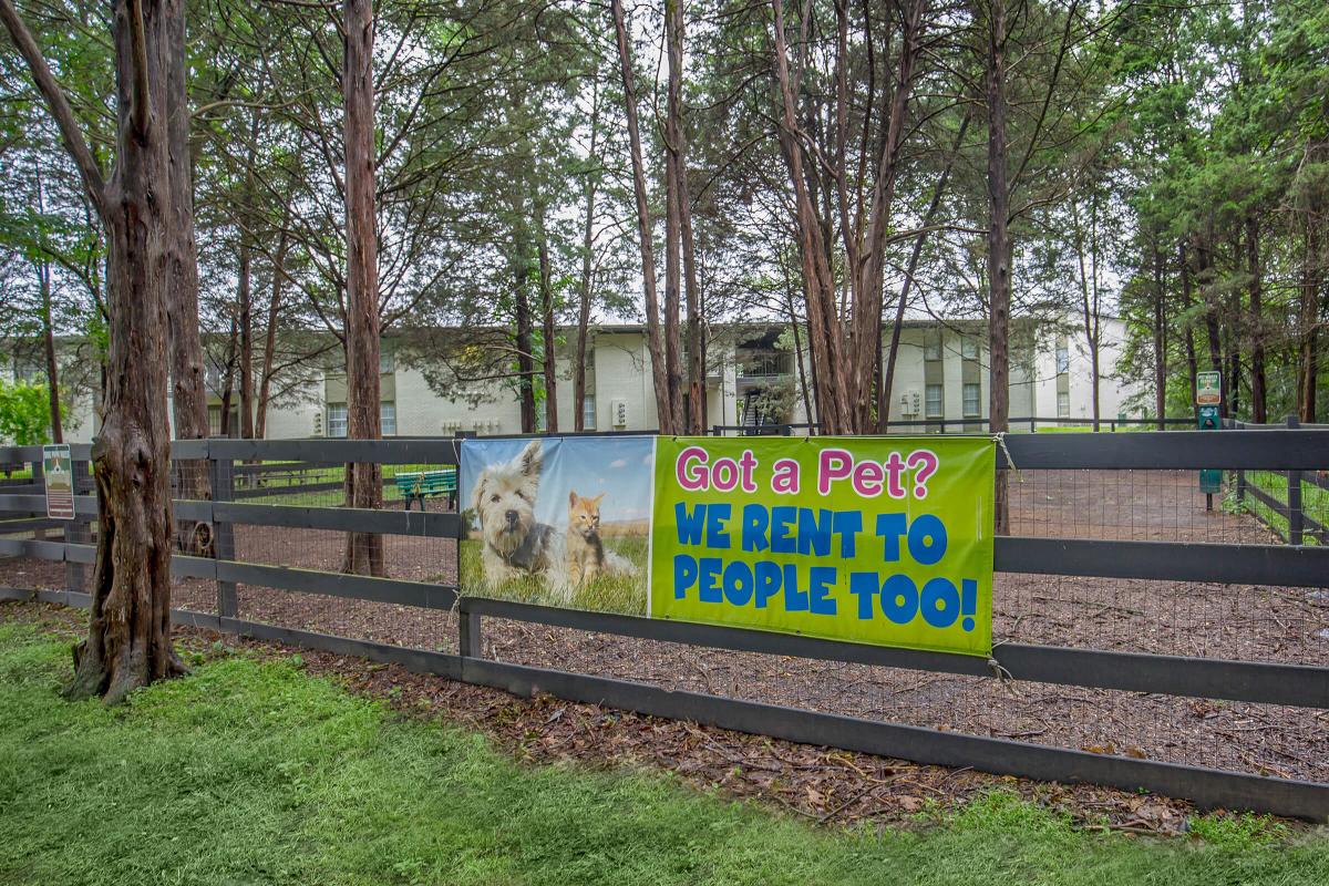 Lighted Dog Park At Ashwood Cove