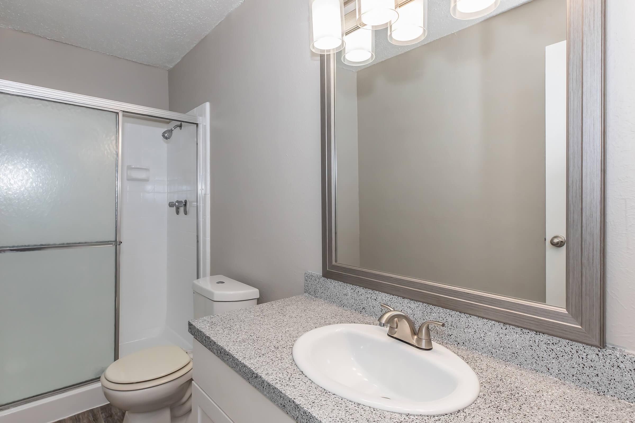 a shower that has a sink and a mirror