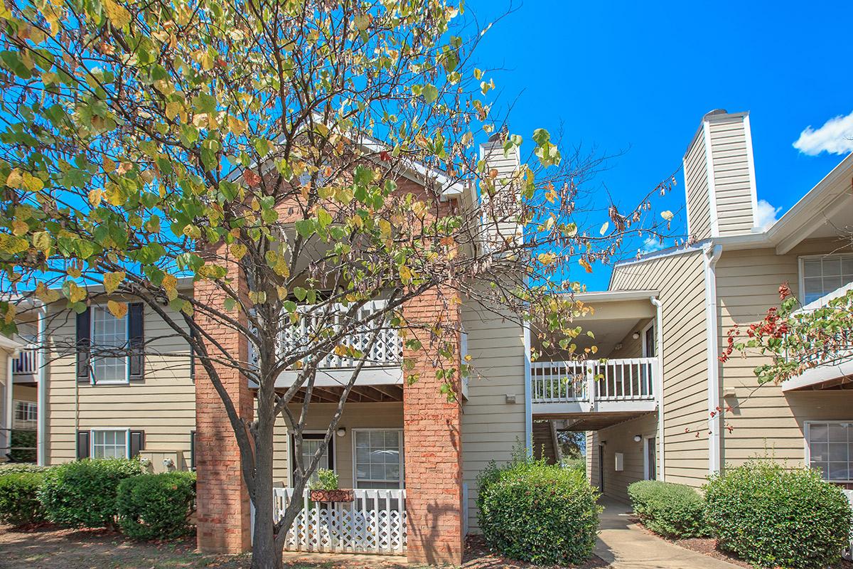 a tree in front of a house