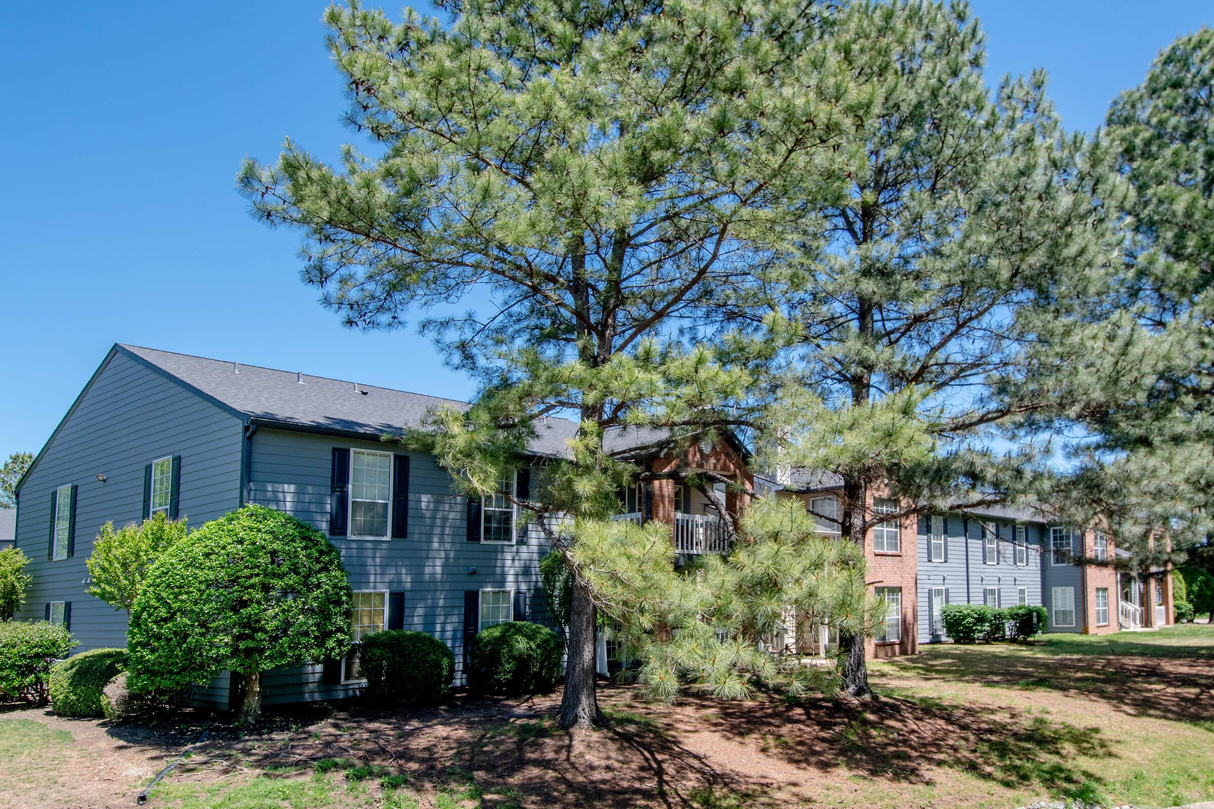 a tree in front of a house